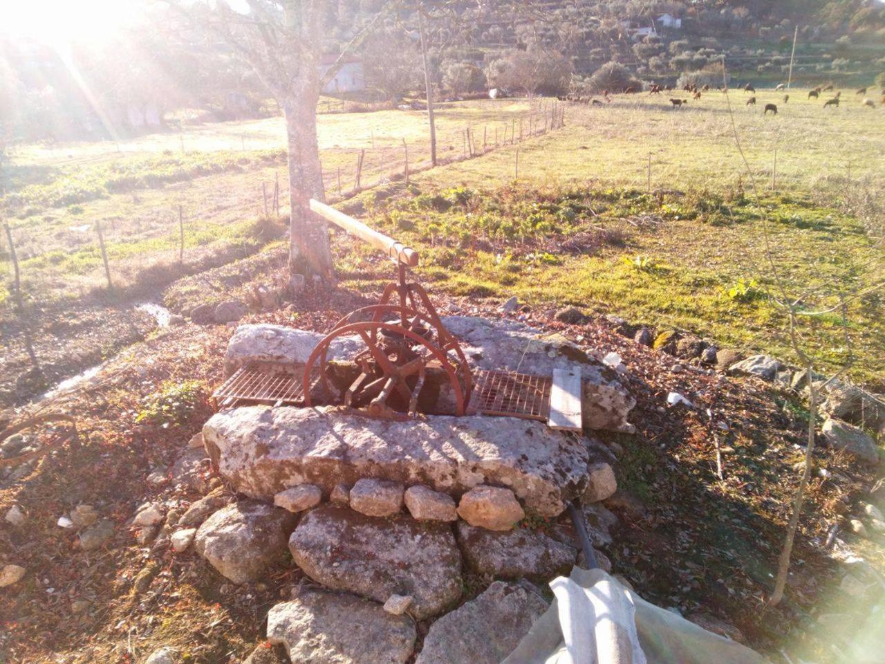 Photo 48