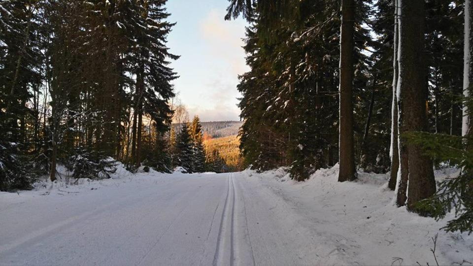 Horská Chata Hříbek