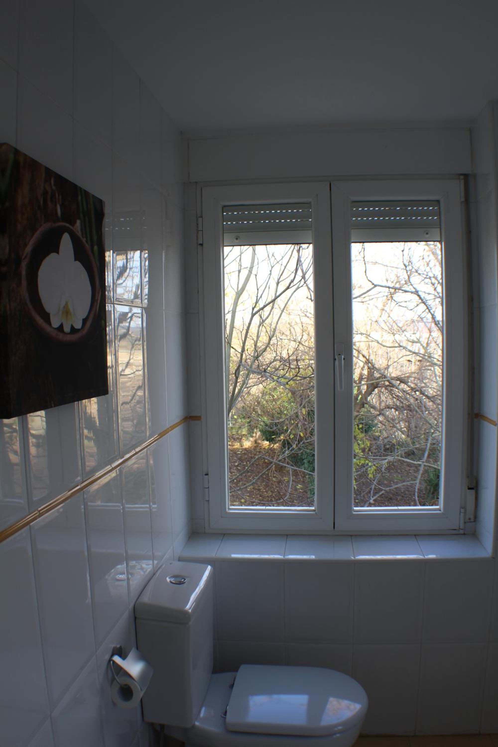 Photo 52