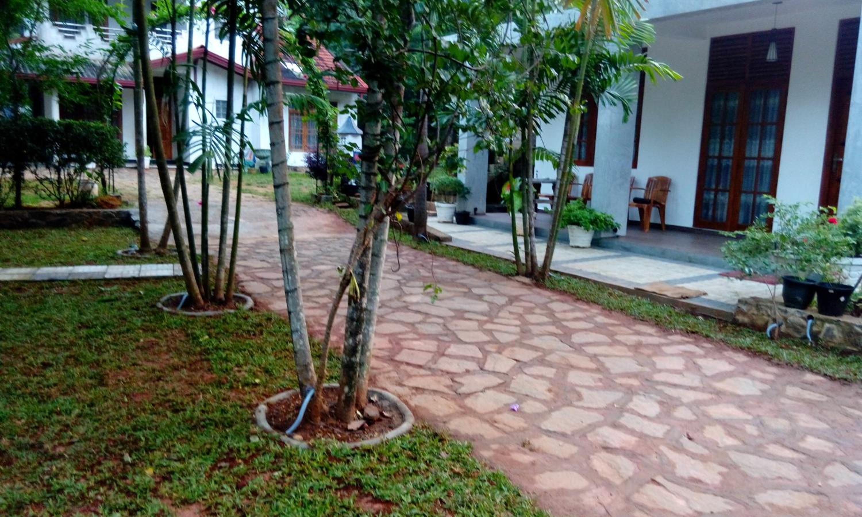 Photo 43