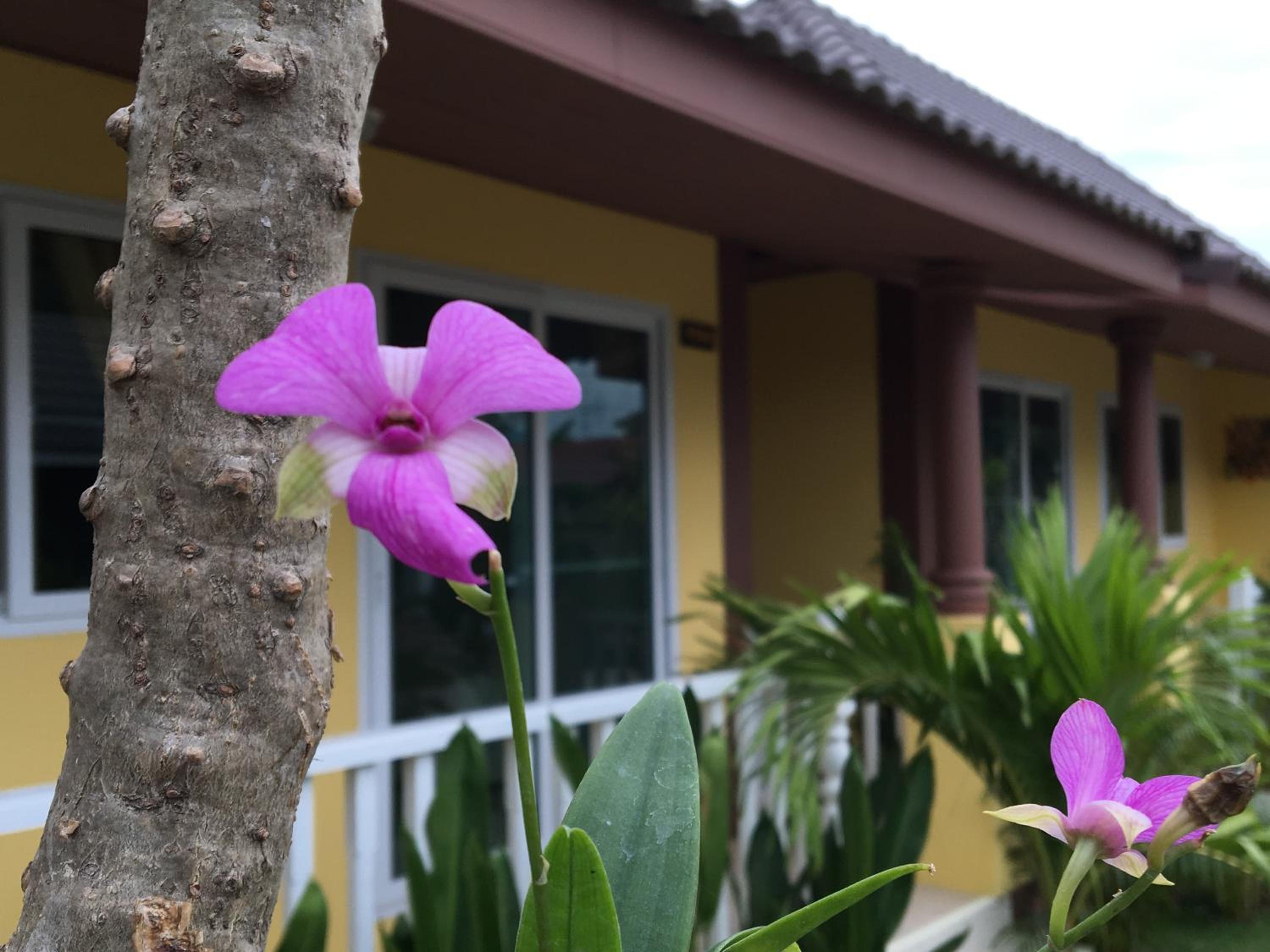 Baan Penny