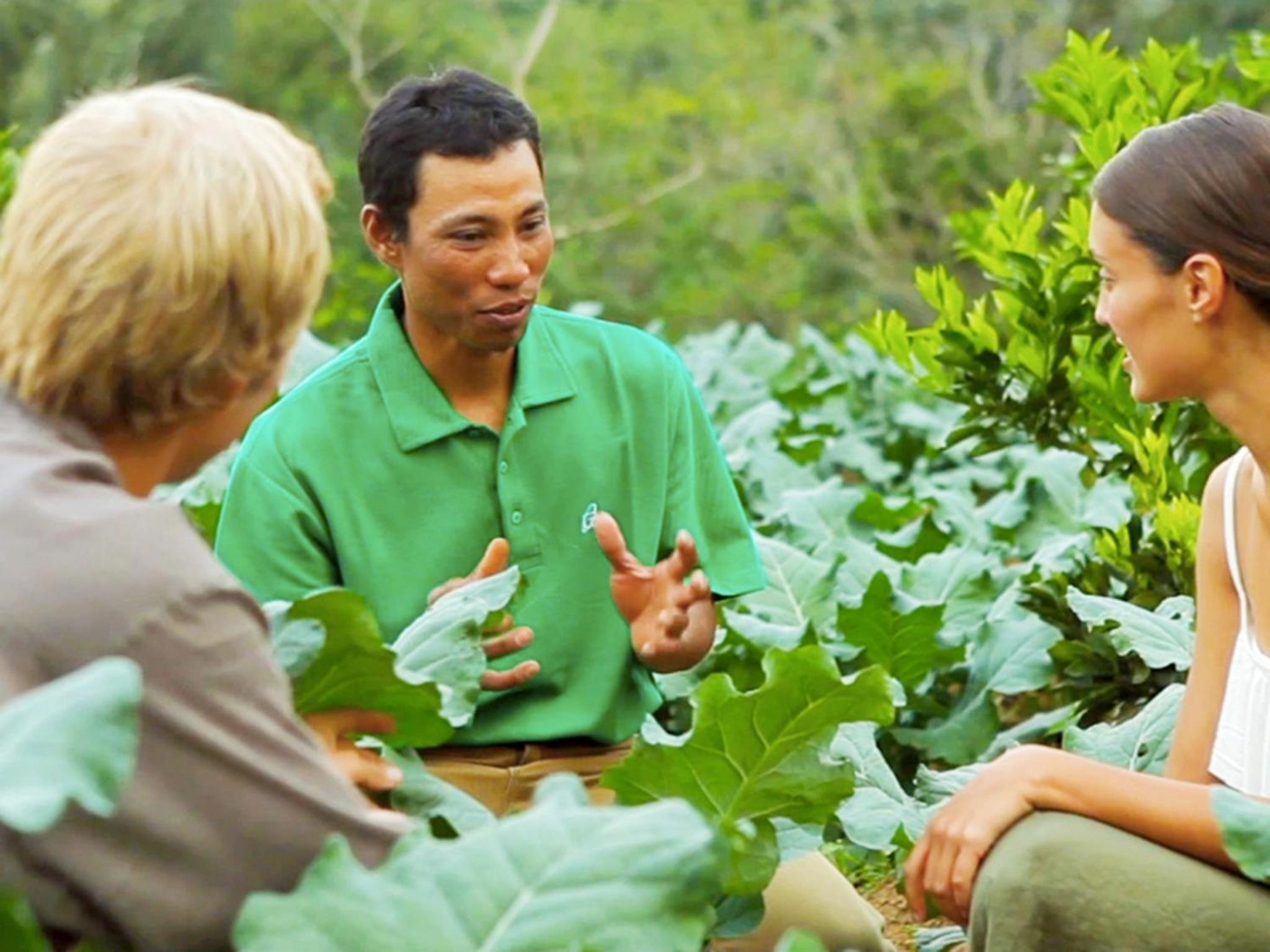 Bagus Agro Pelaga