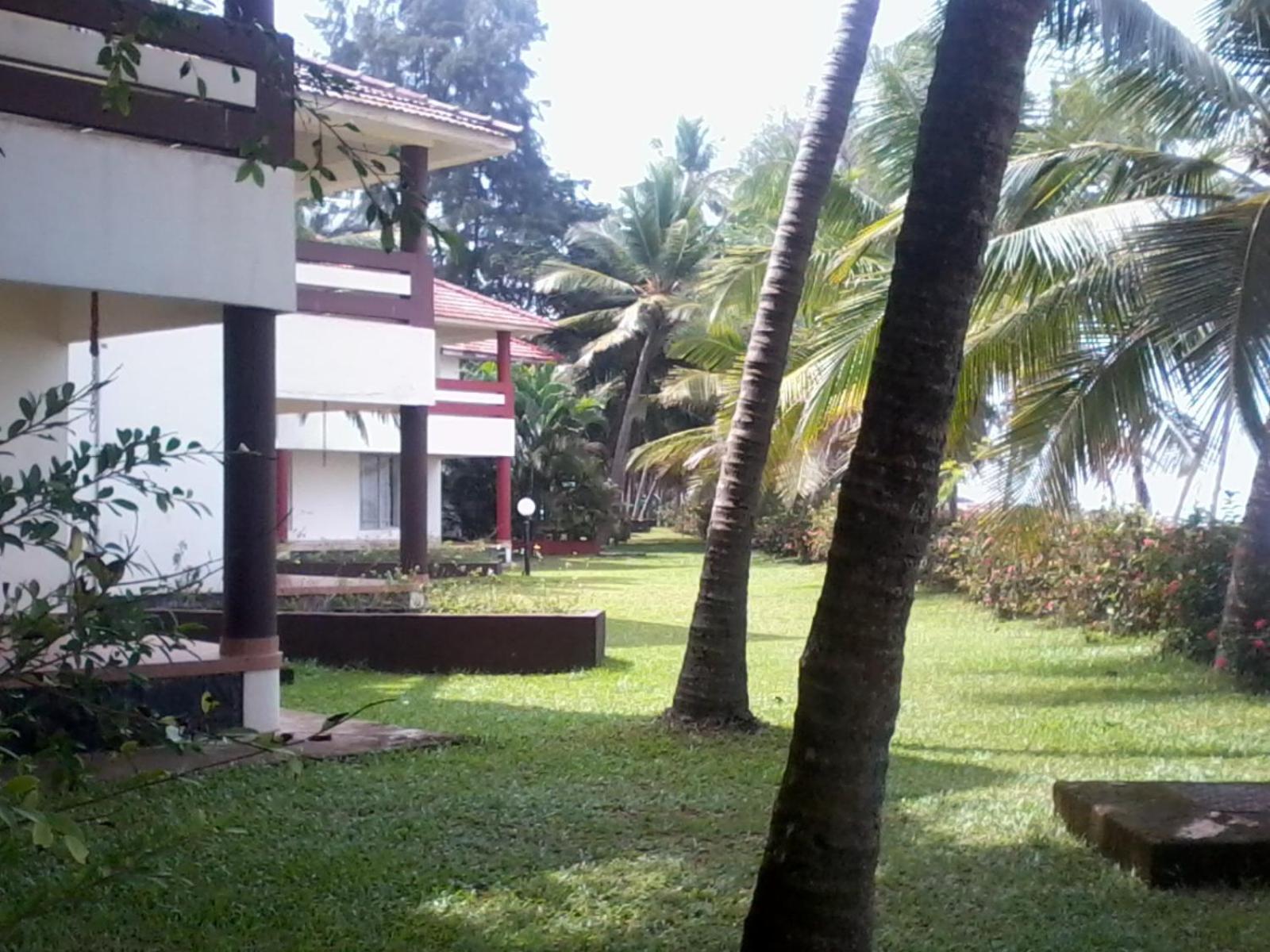 Photo 20