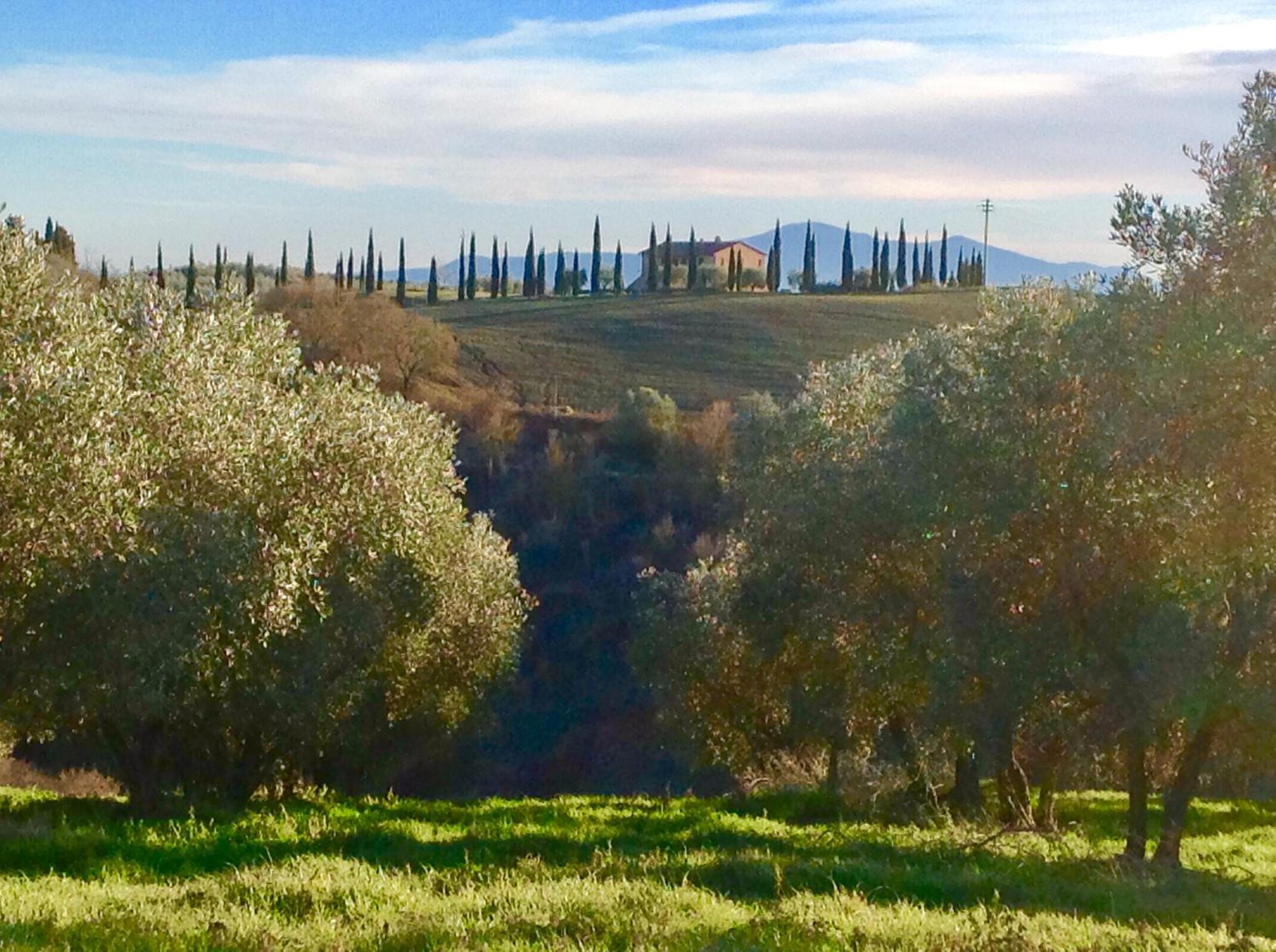 Podere Fornaci