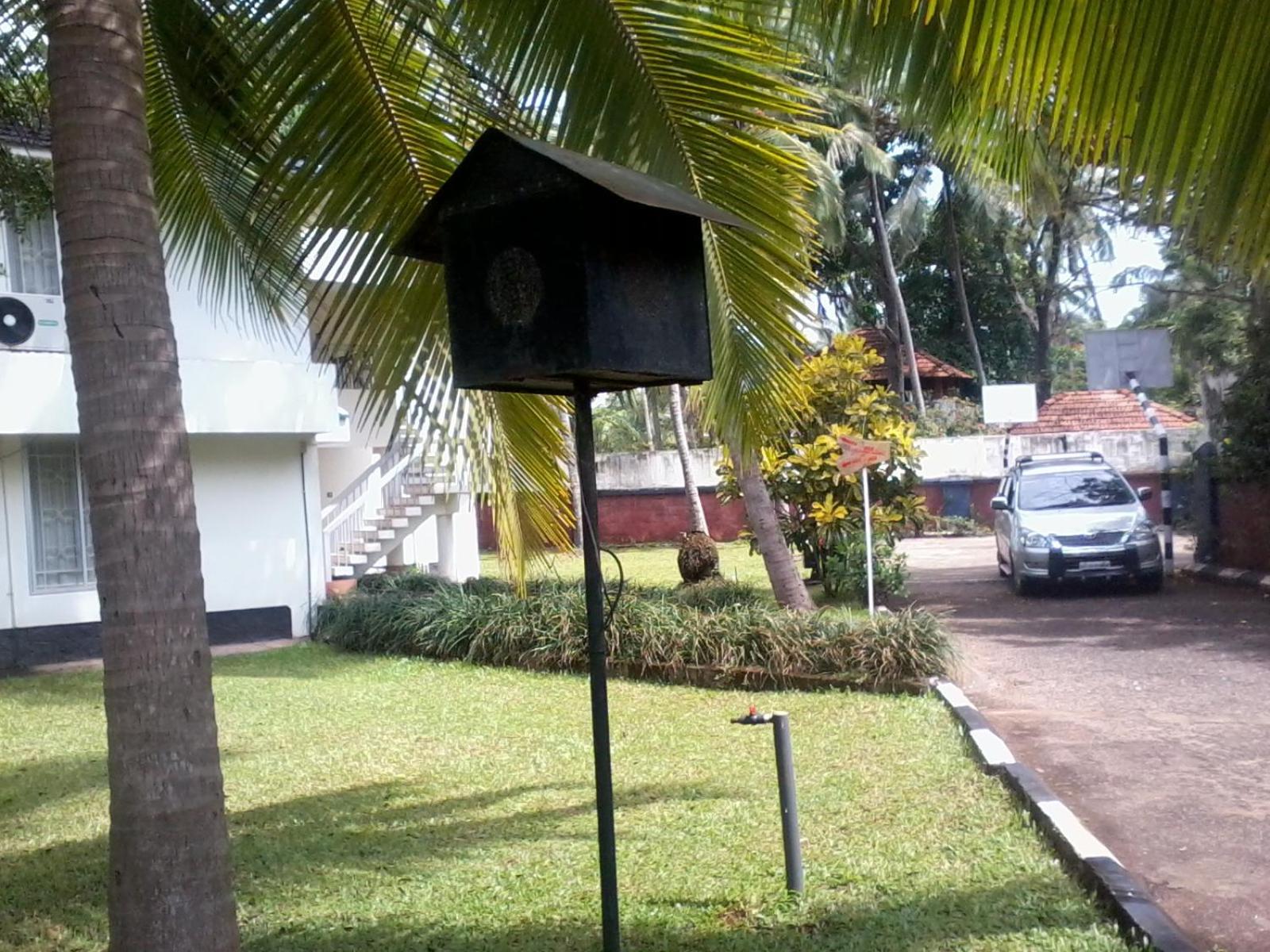 Photo 23