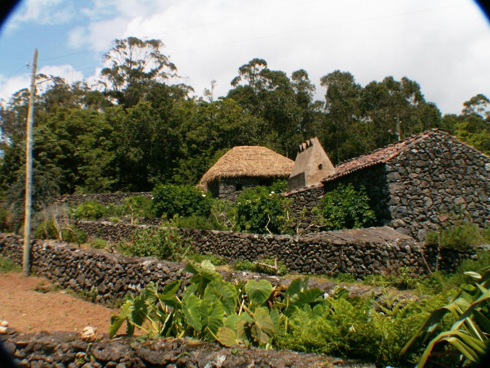 Quinta Do Martelo