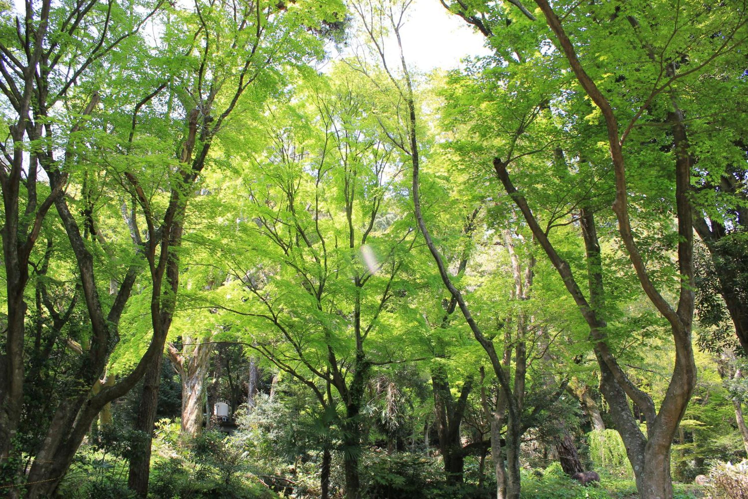 Izuajiro-onsen Shoufuen