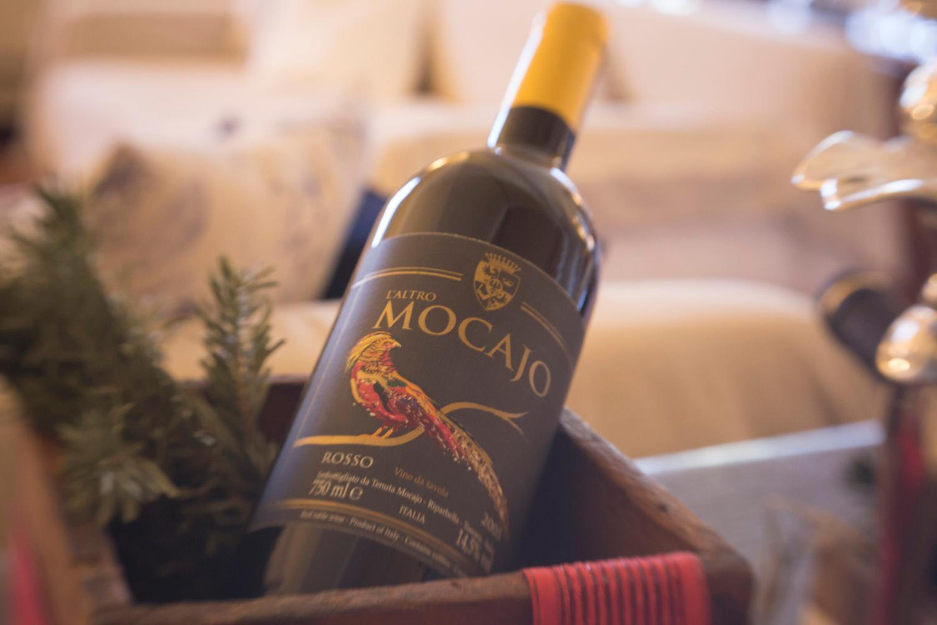 Tenuta Mocajo