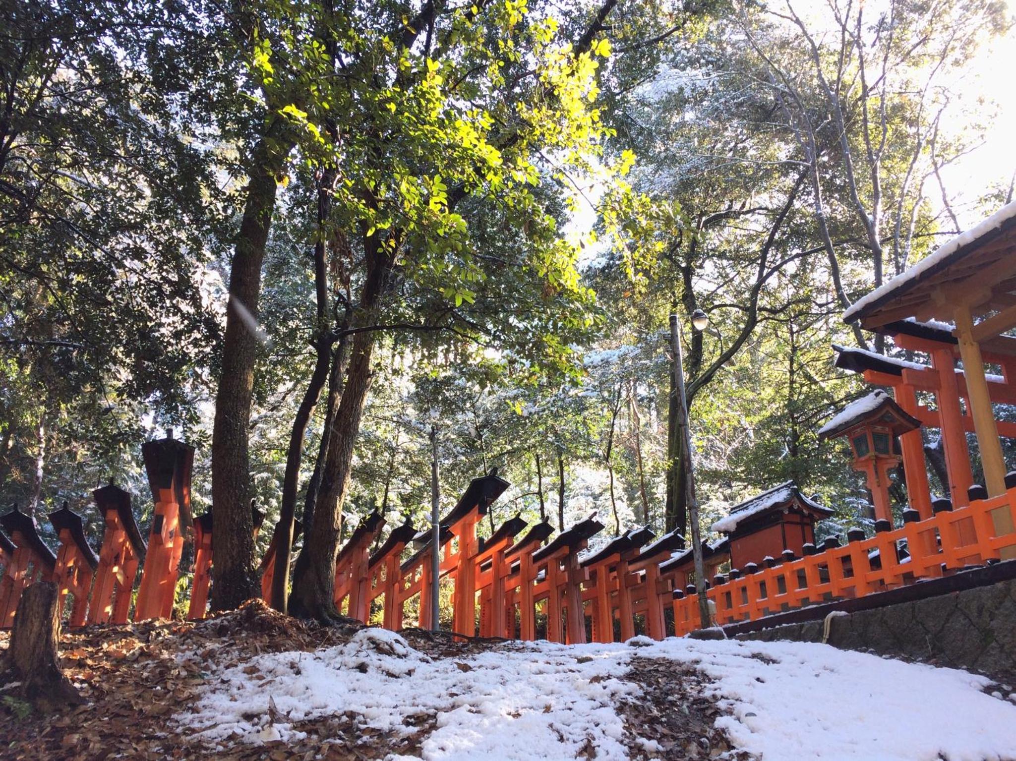 Secret Garden Kyoto