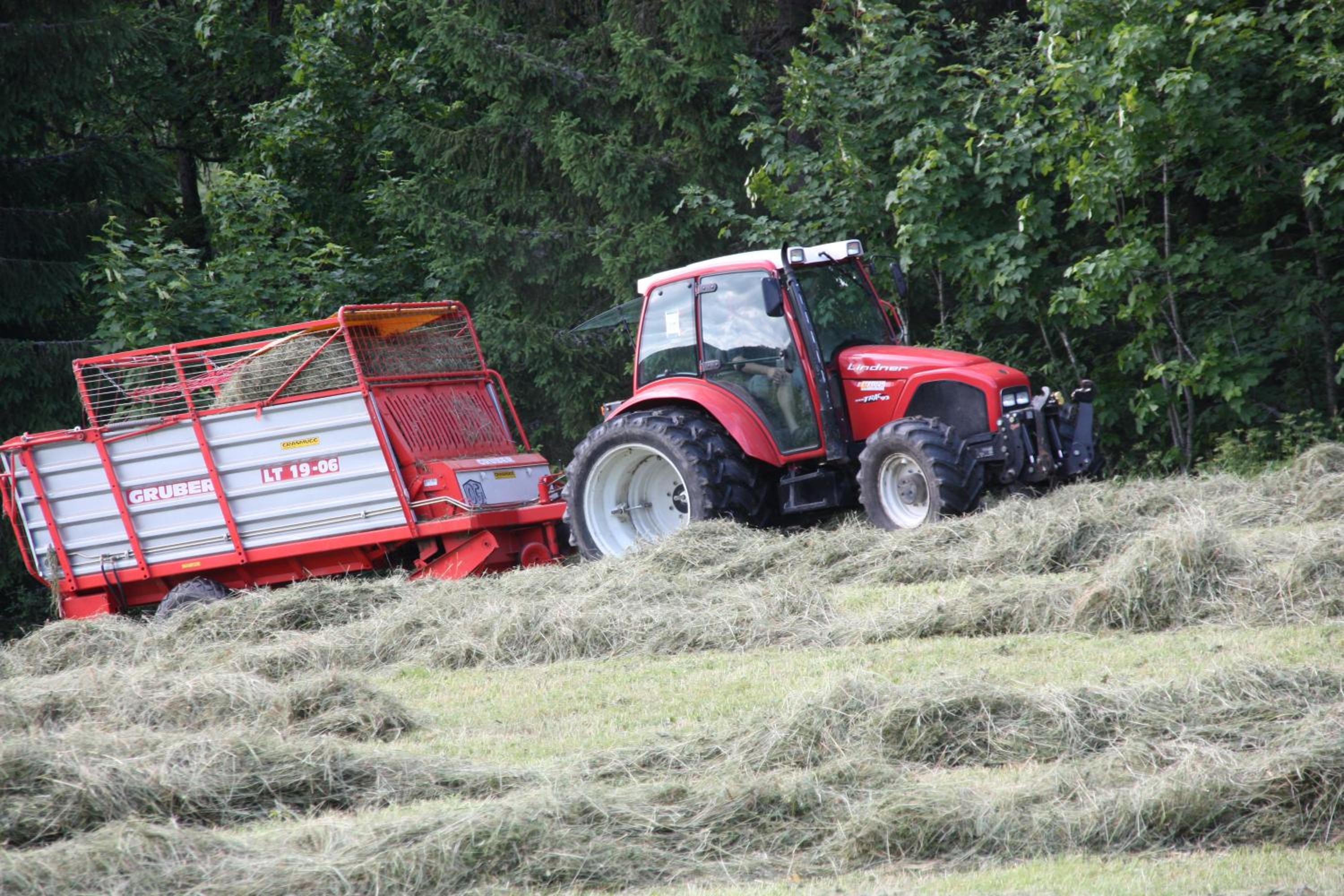 Photo 23