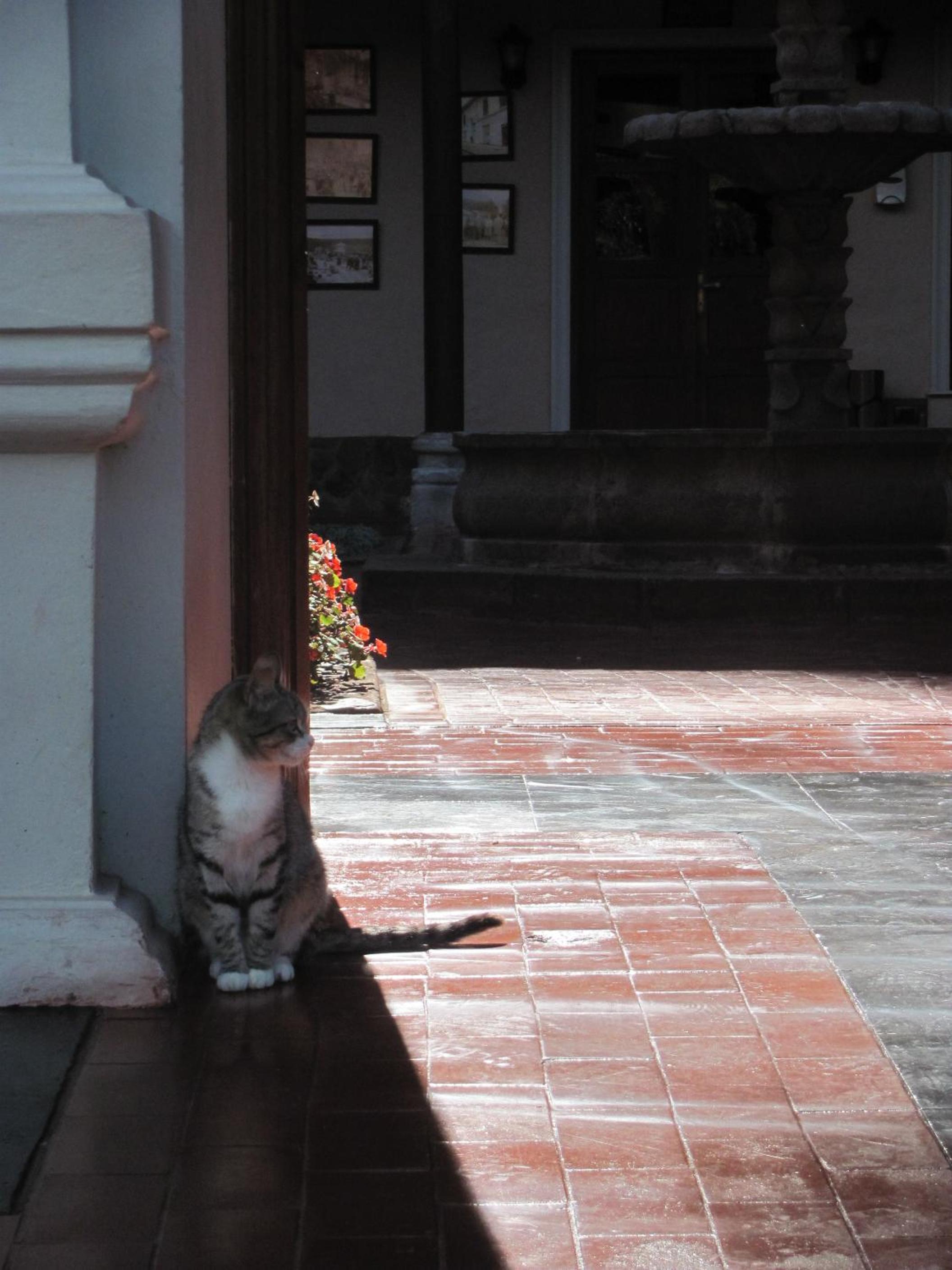 Posada del Puruay