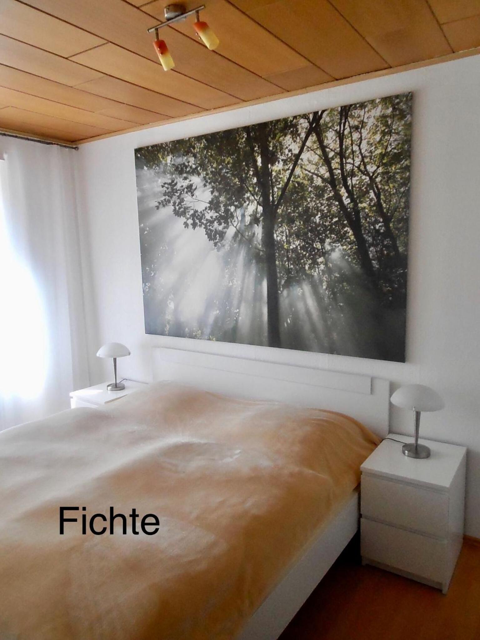 4 moderne FEWO Nowak-Bals zur Auswahl - Property Image 56