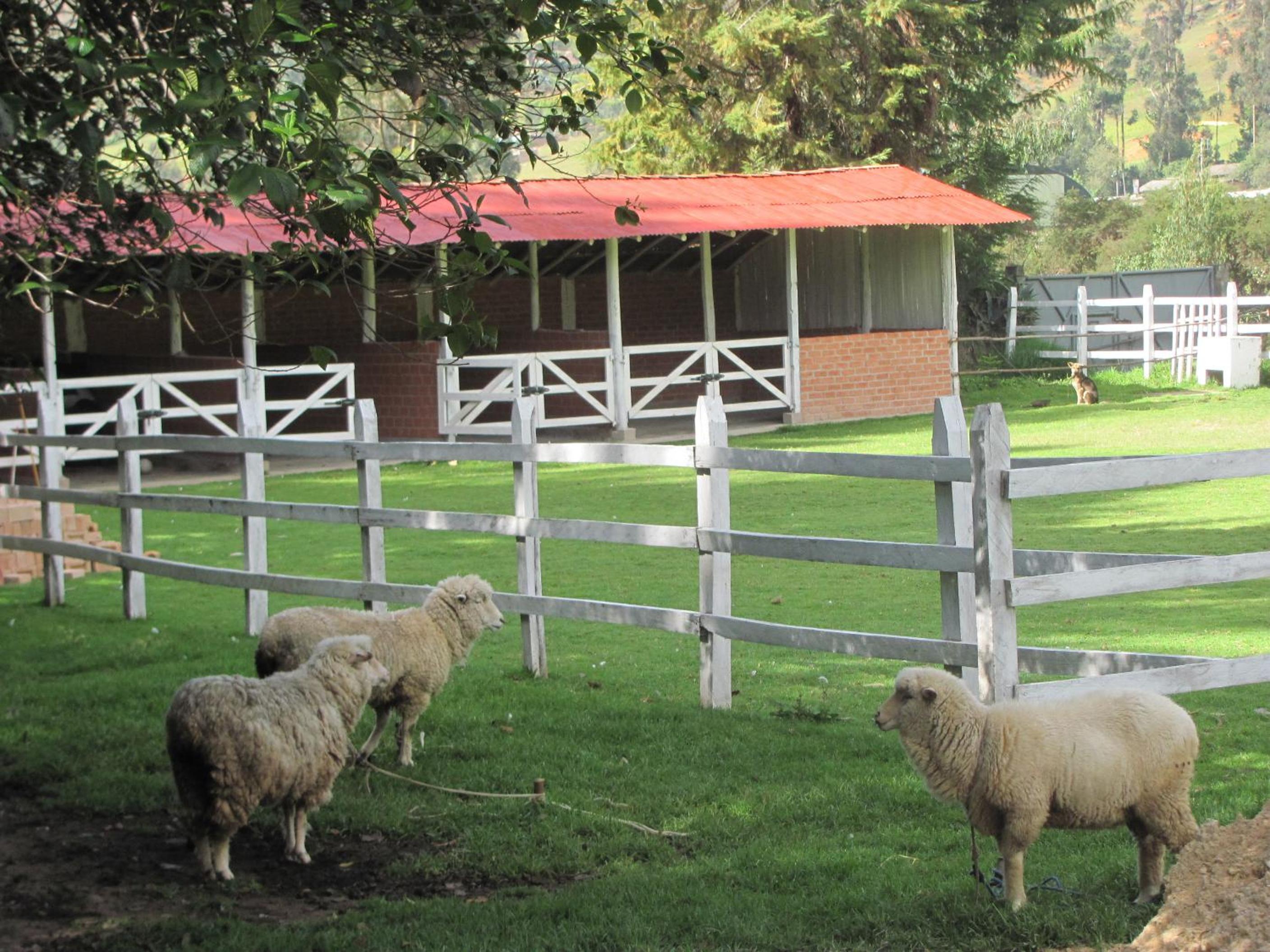 Posada del Puruay