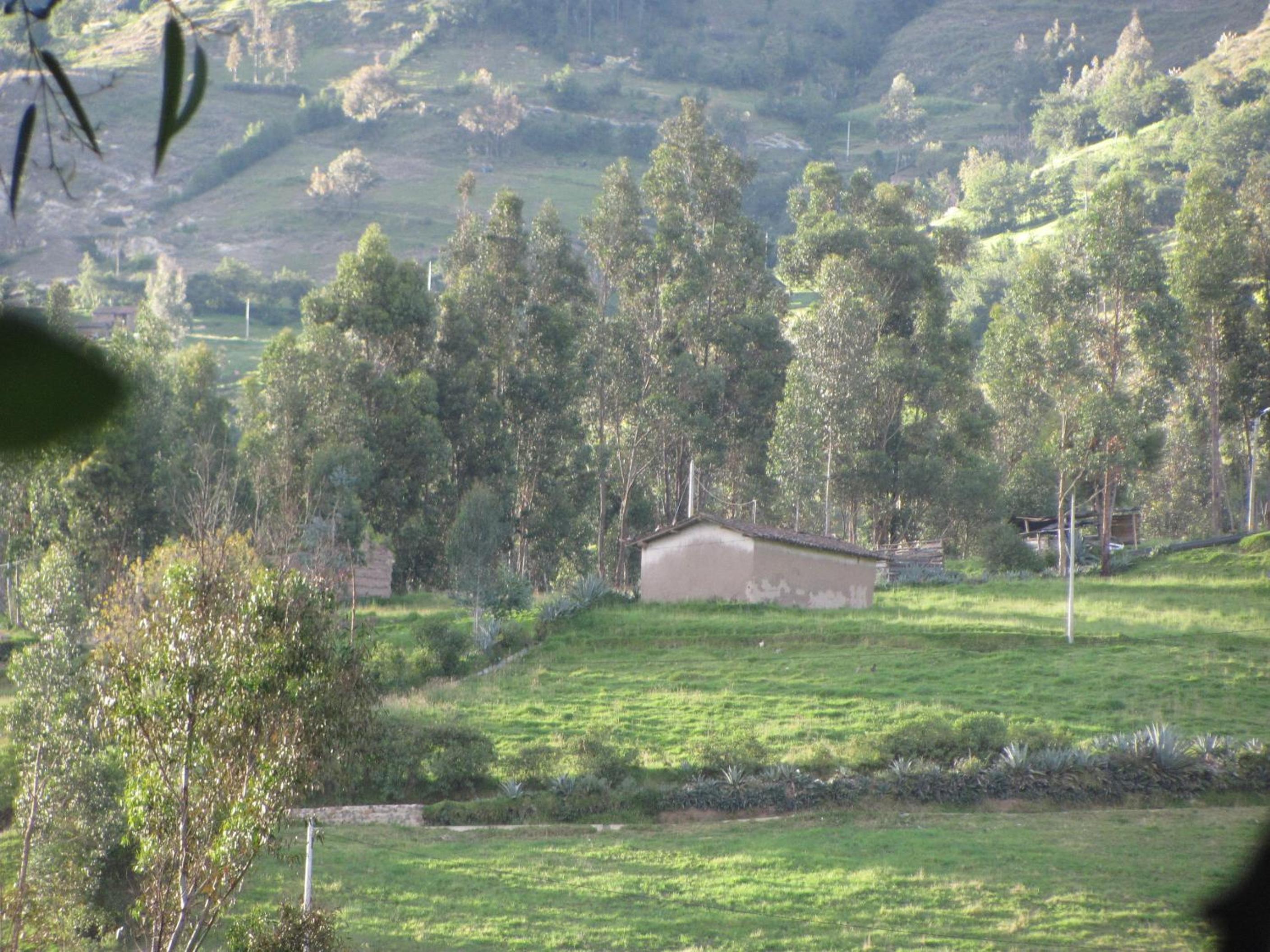 Posada del Puruay