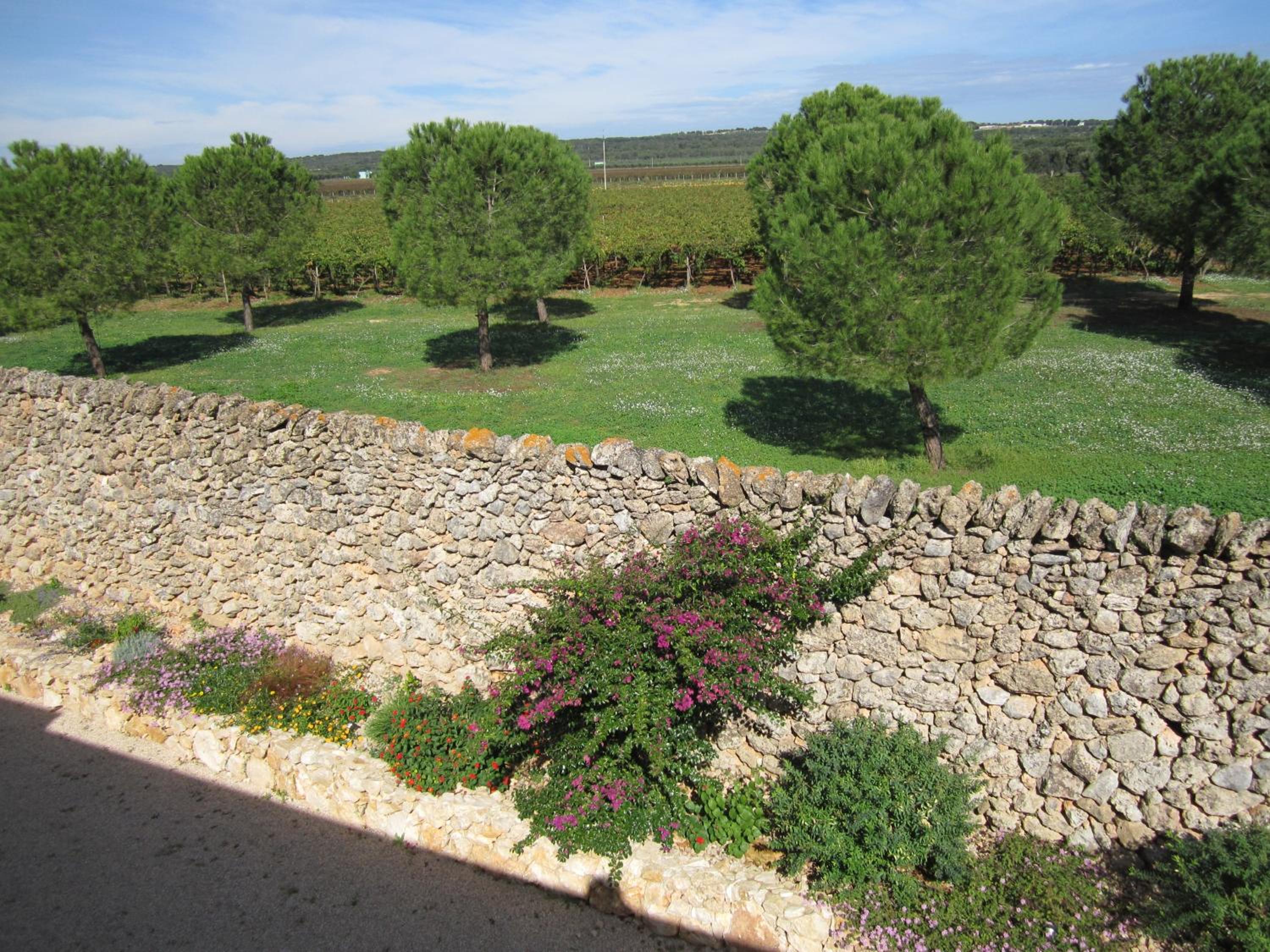 Masseria Giustiniani