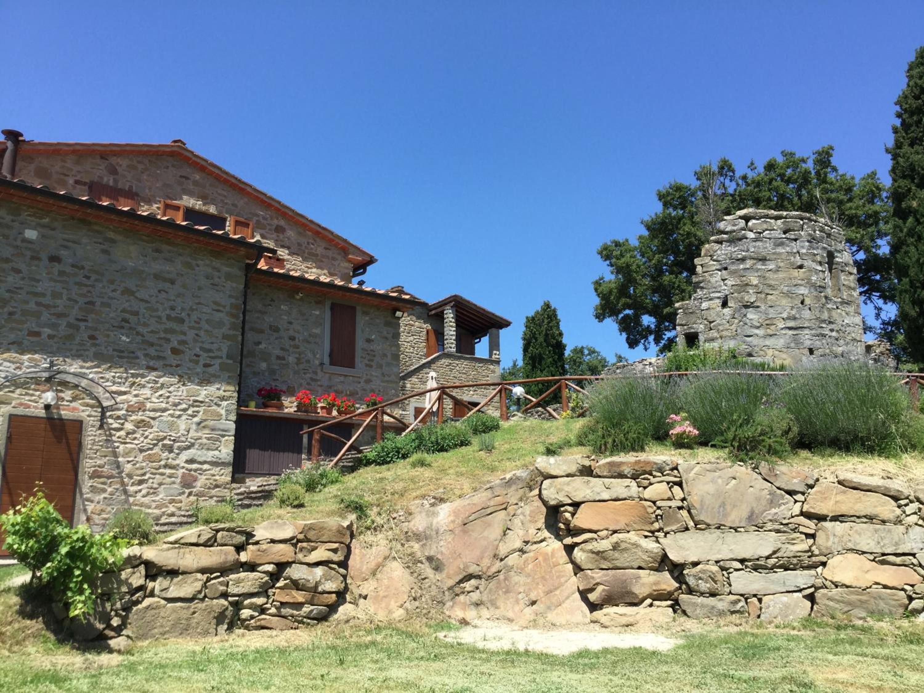Photo 19