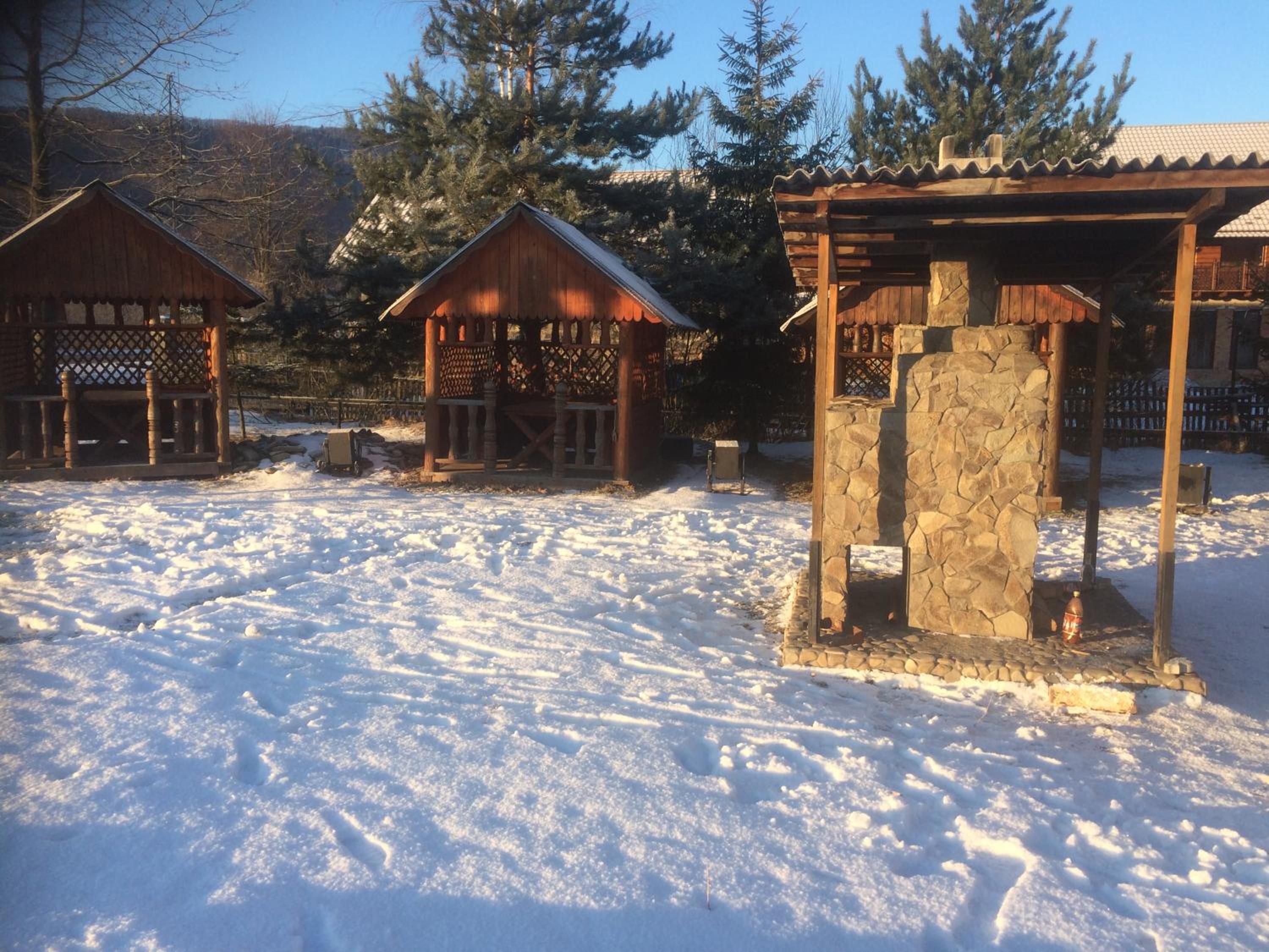 Guest house Dvir Pysanka, photo 71