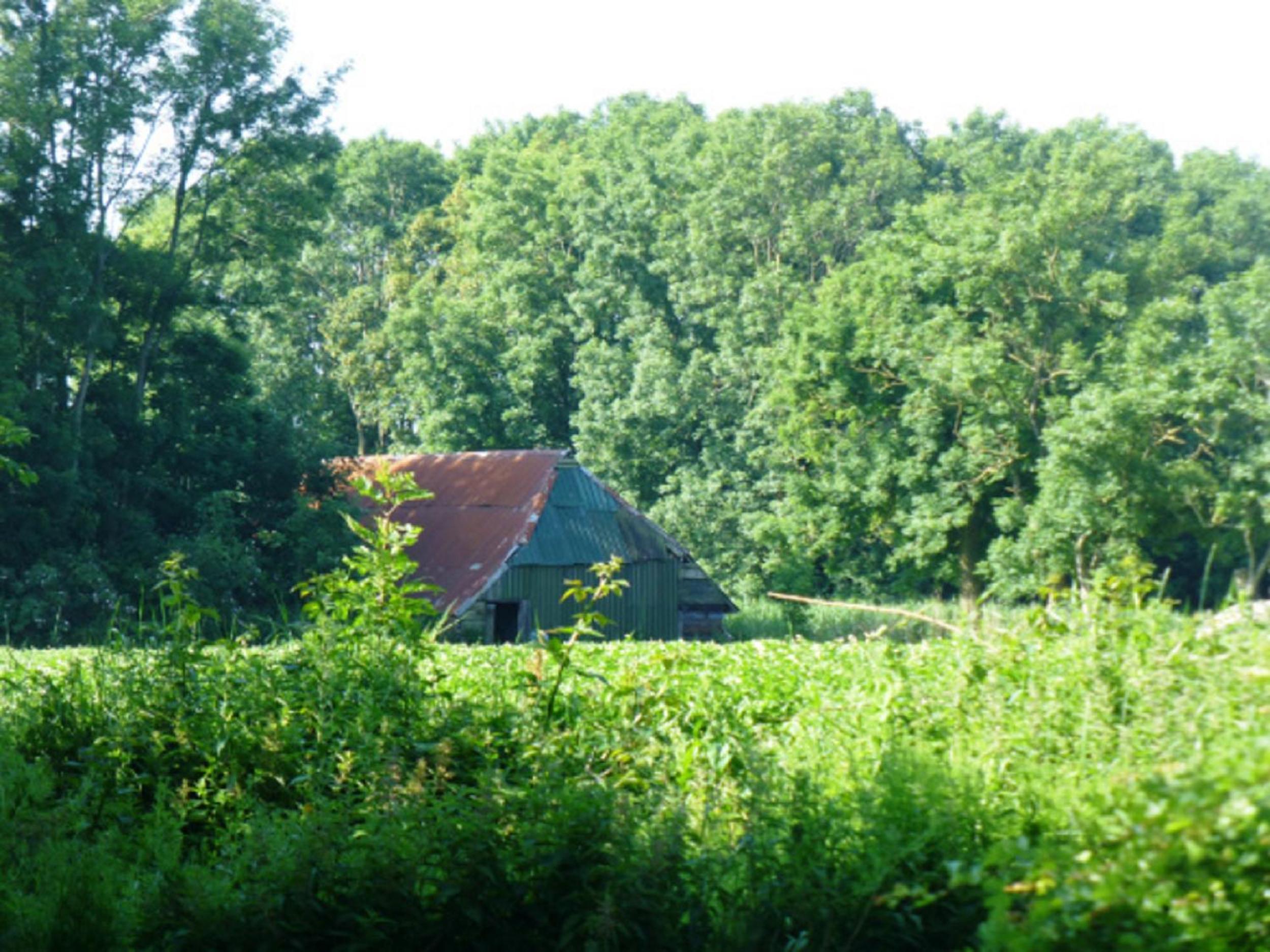 Photo 19