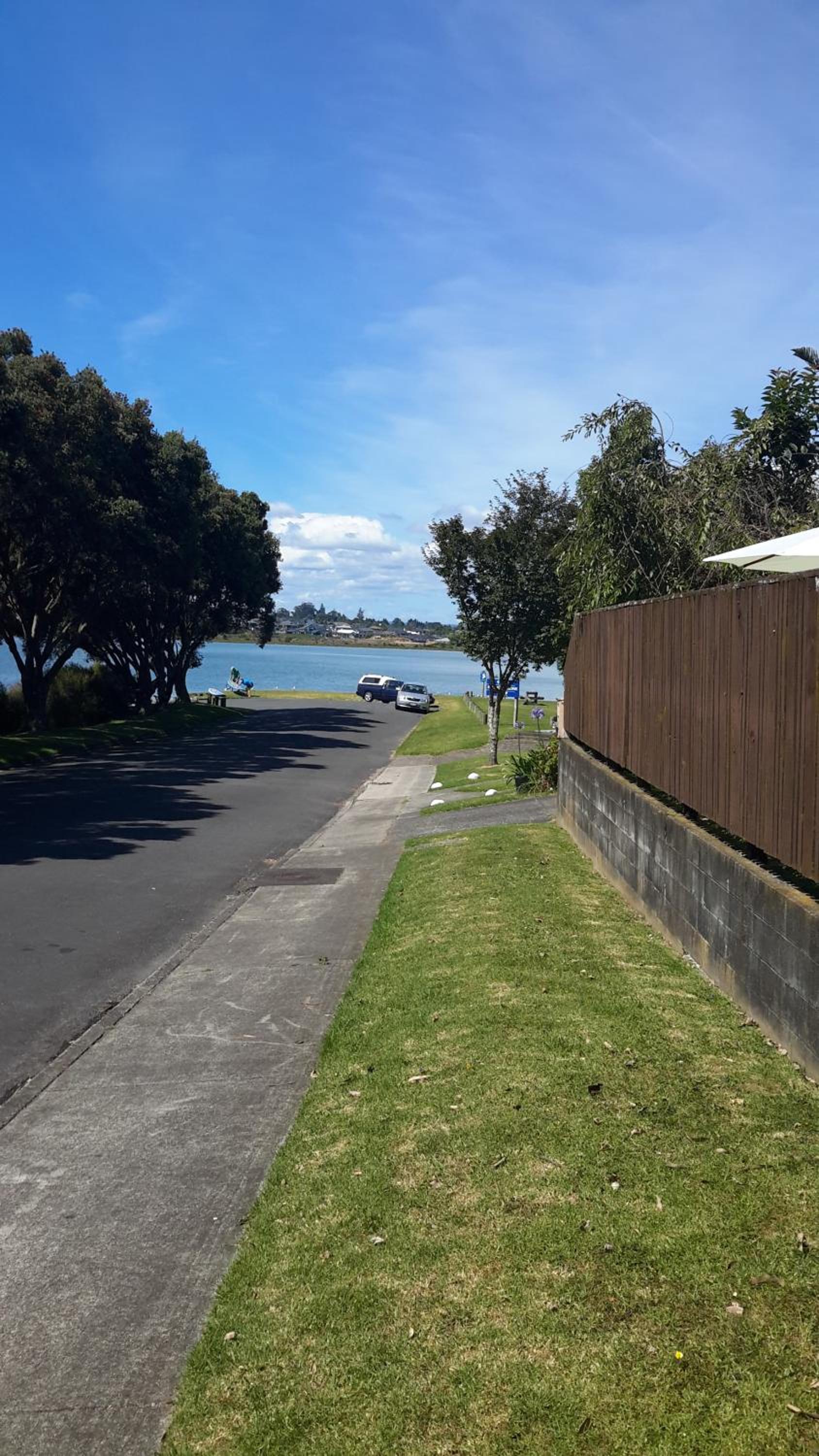 Pukeko on Bay view 3