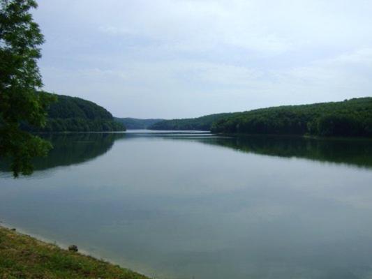 Photo 24