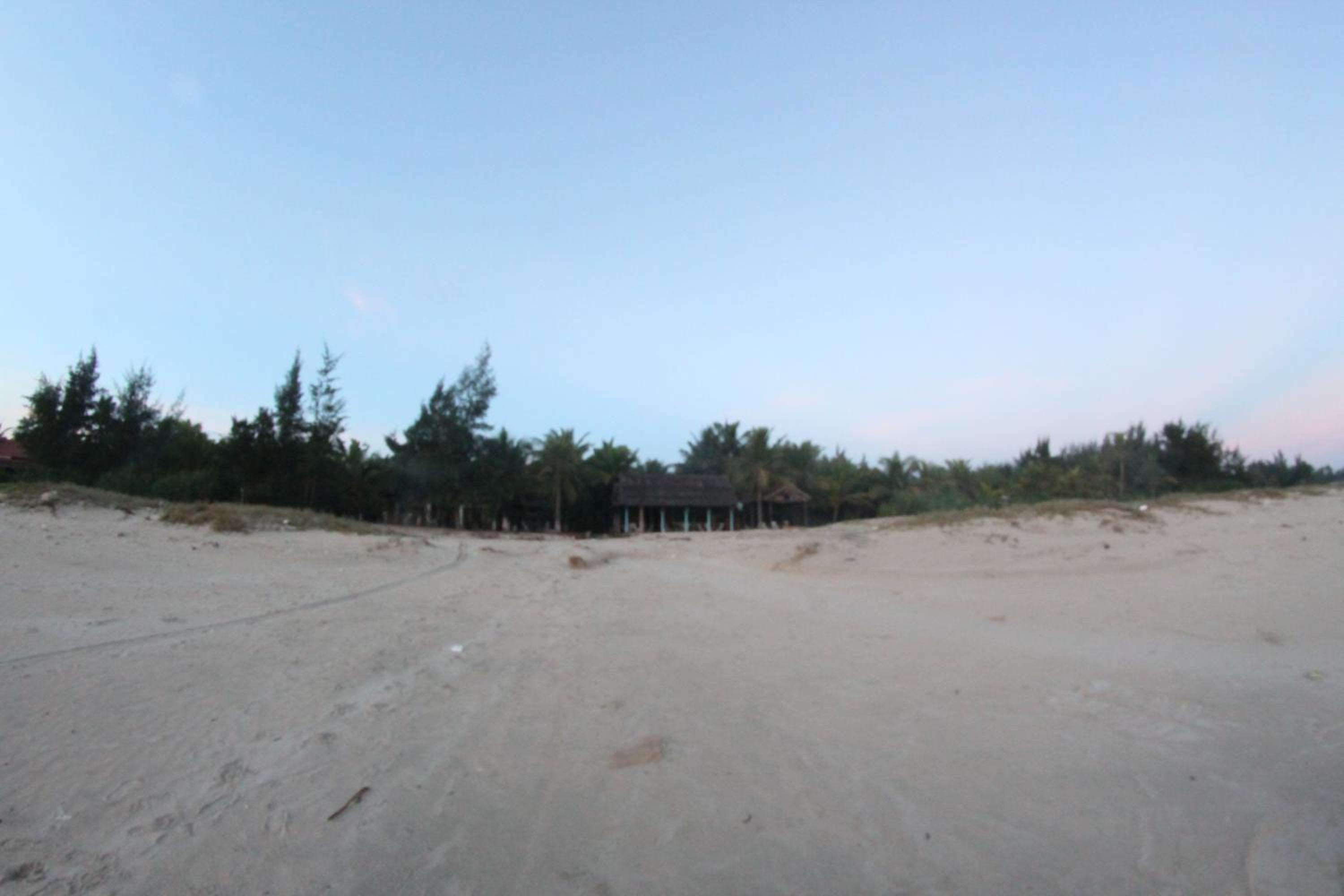 Photo 44