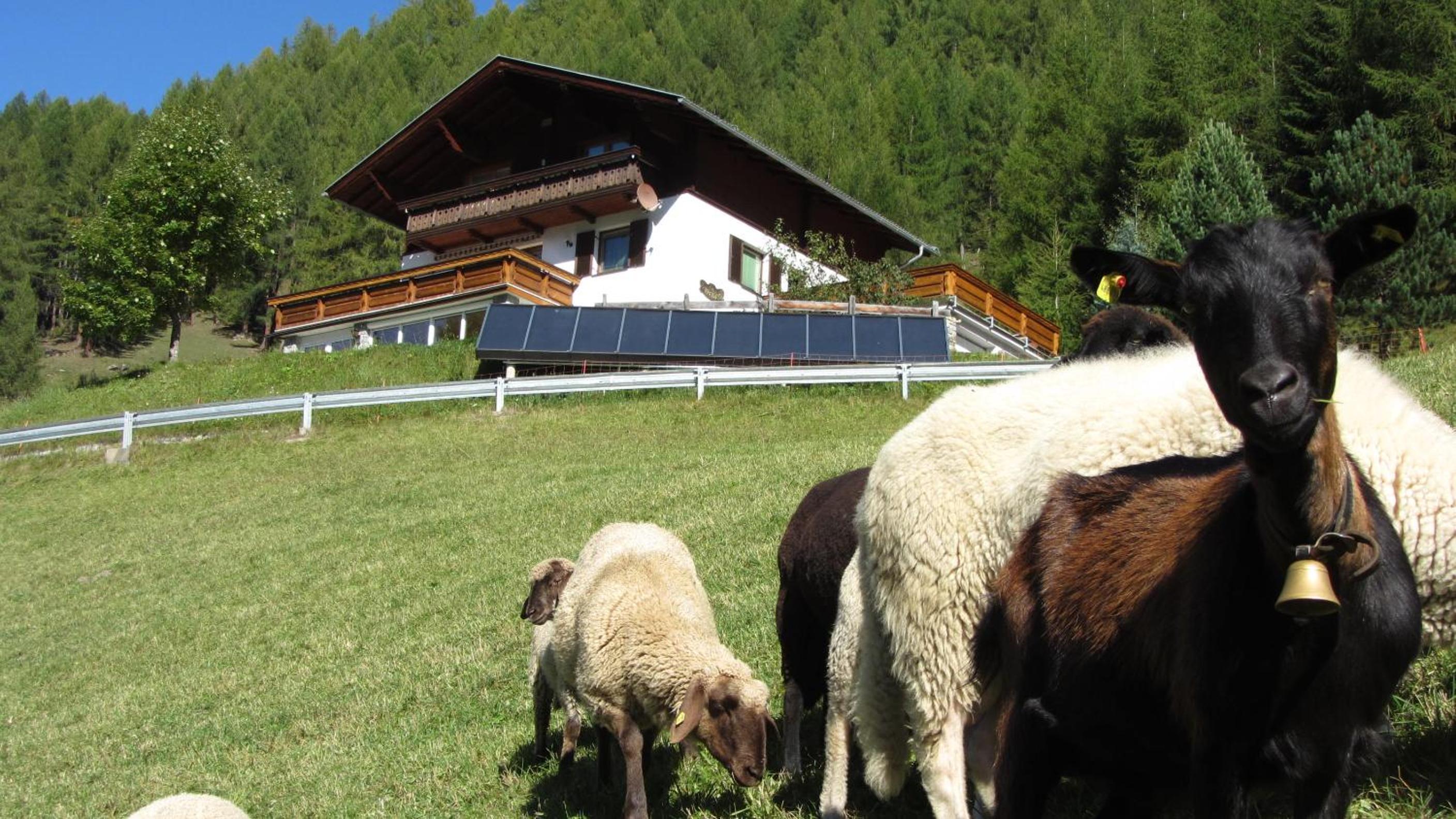 Zirbenhof