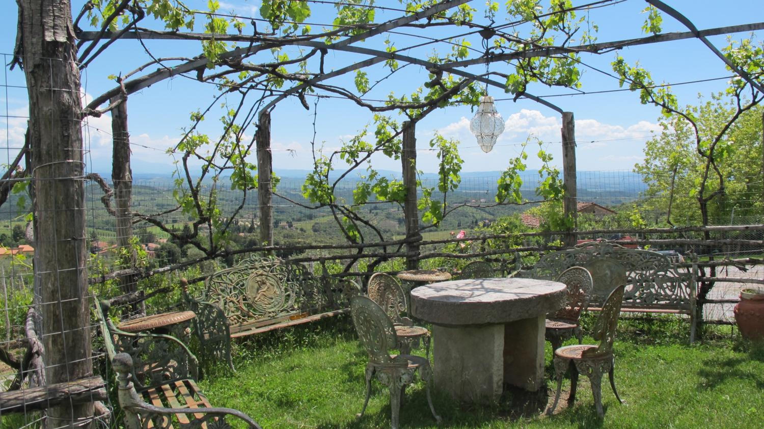 La Casaccia Guelfi view 3