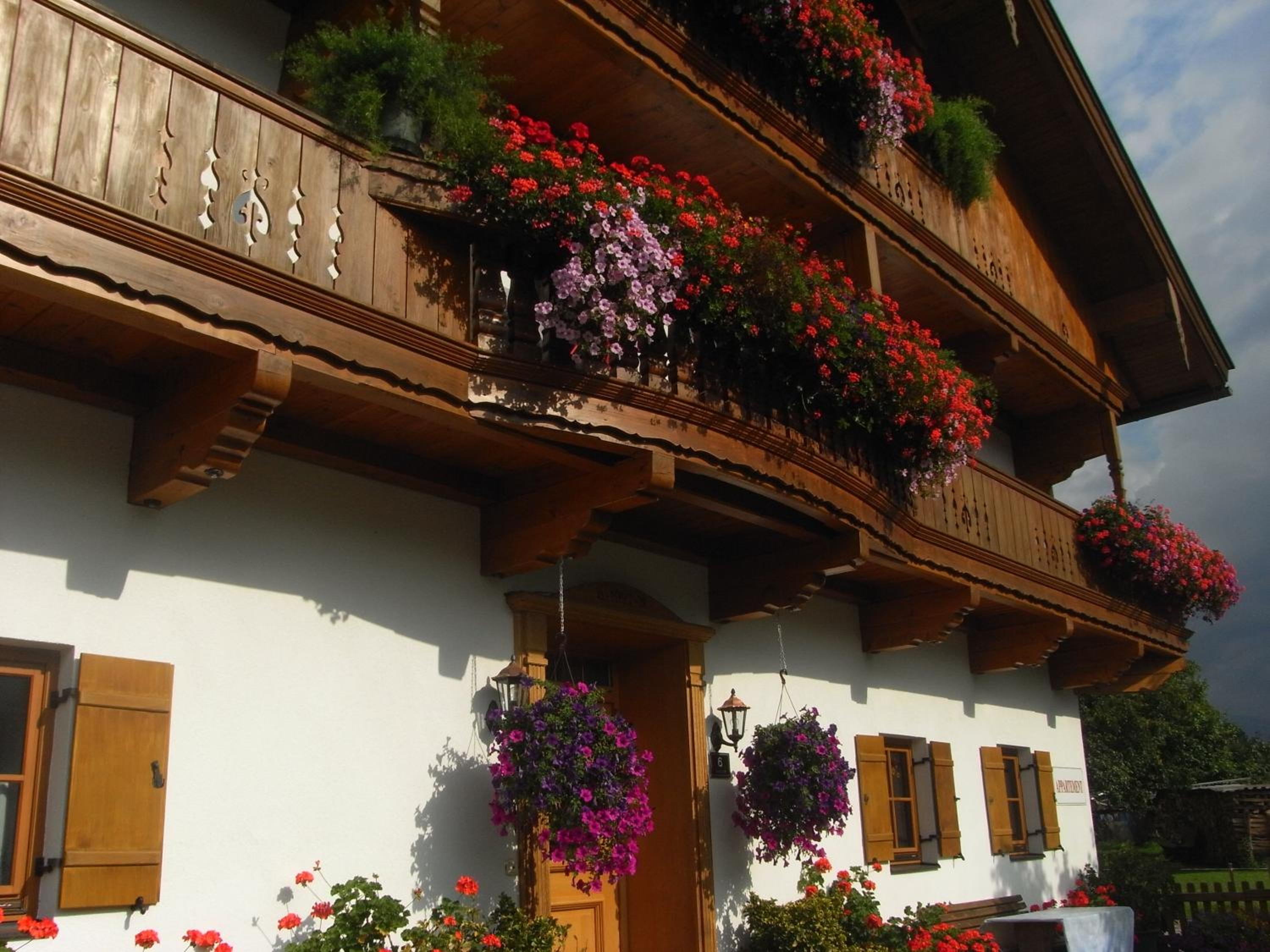 Hofbauer