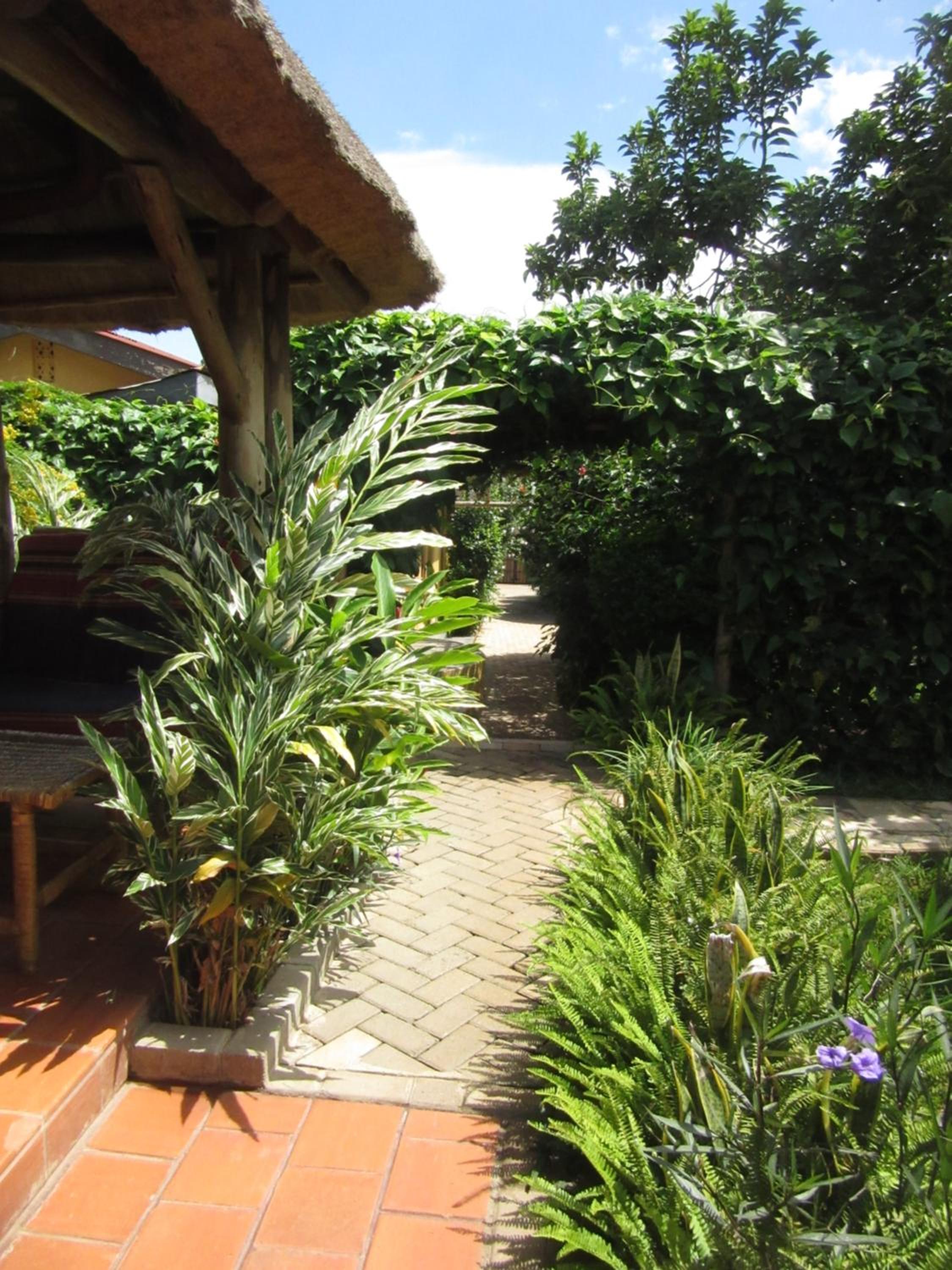Photo 19