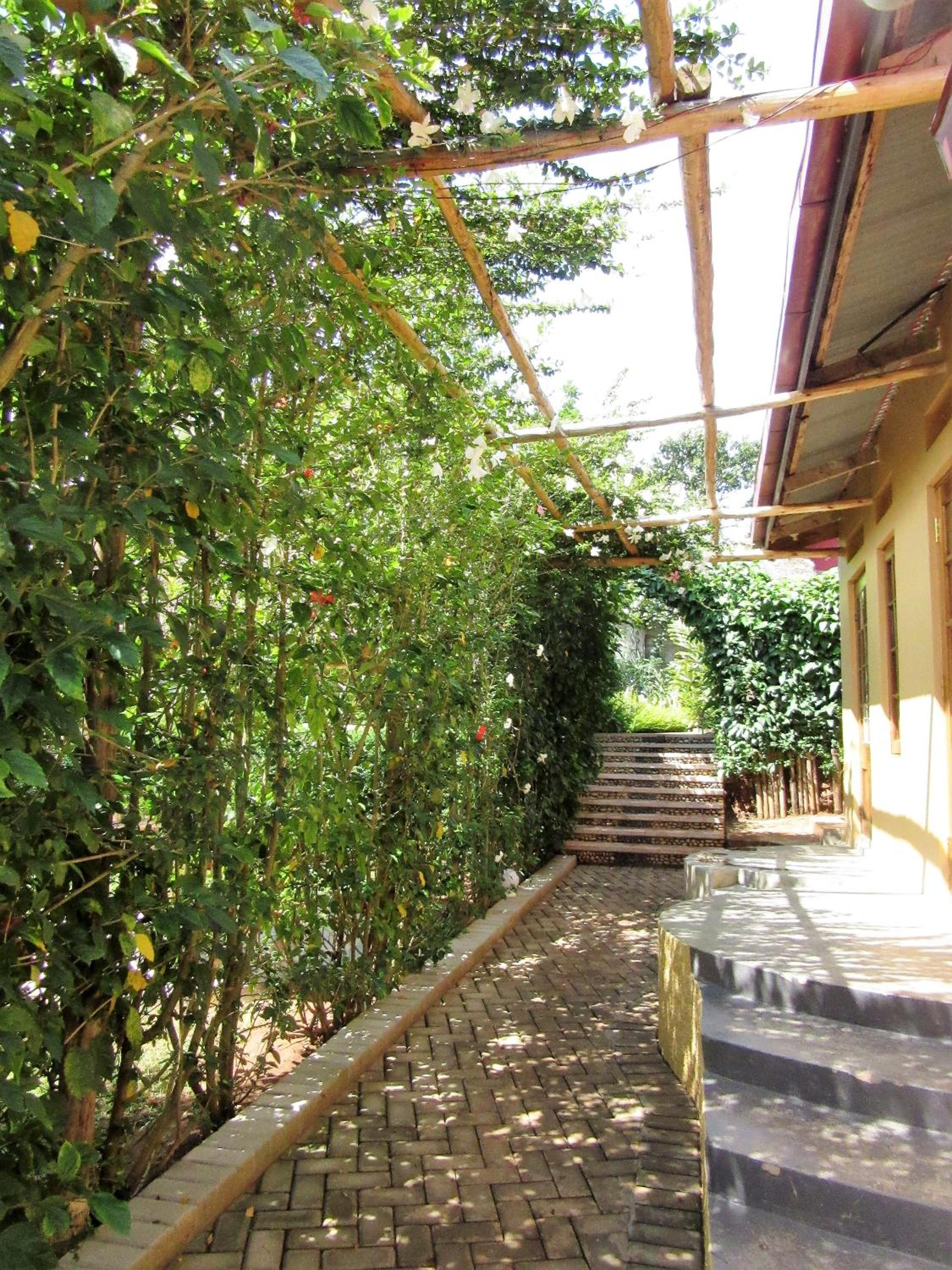 Photo 20