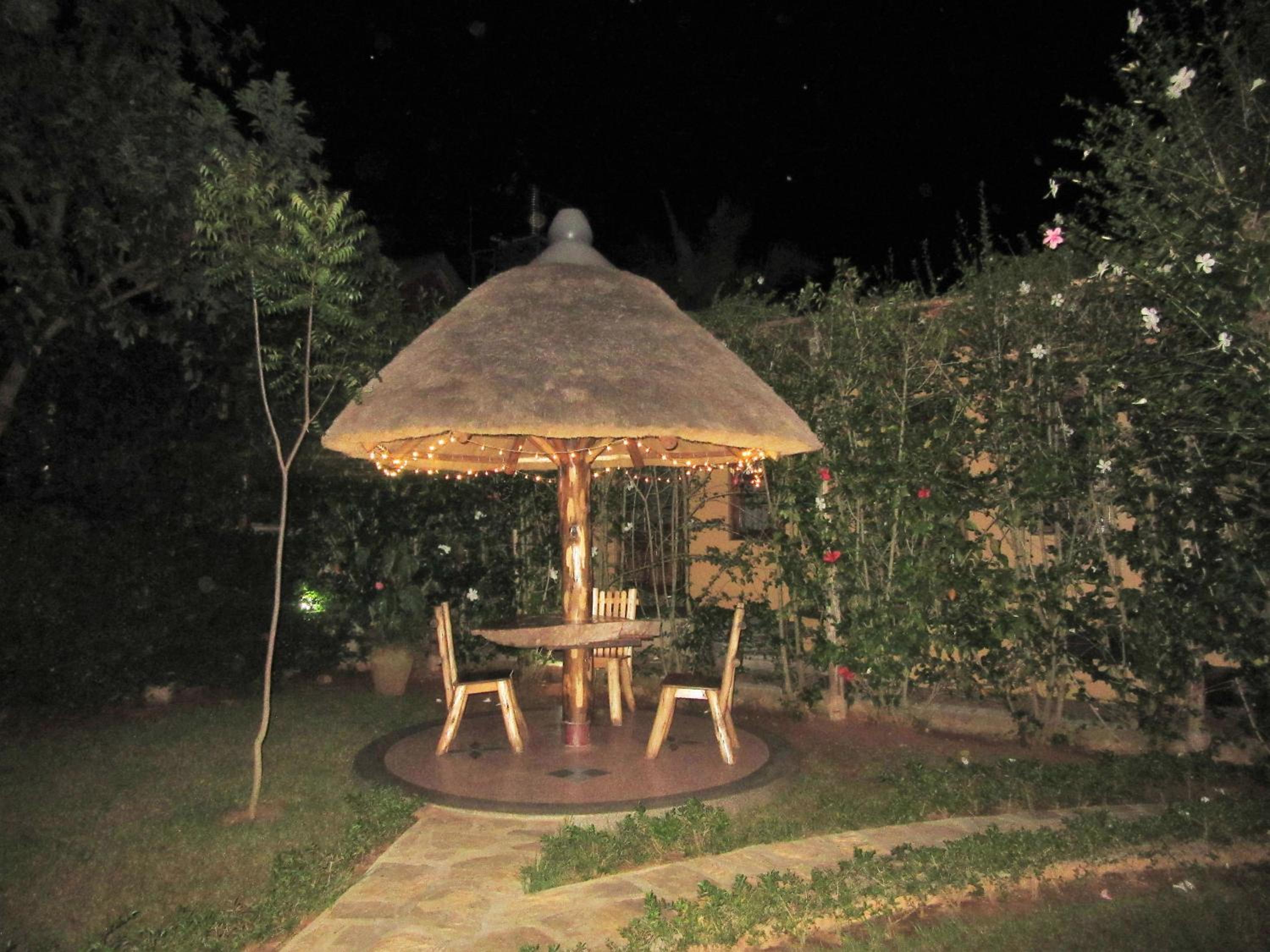 Photo 11