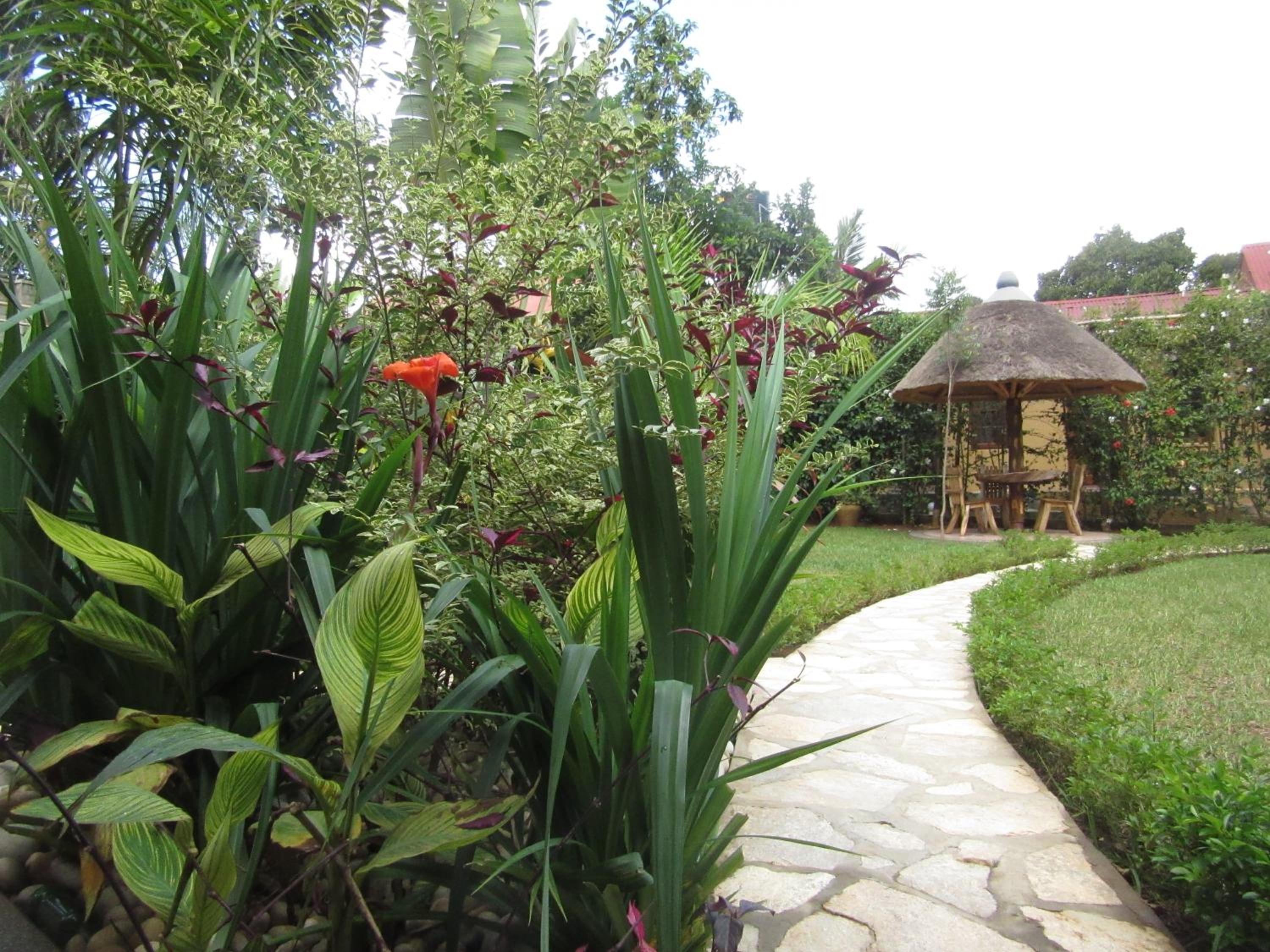 Photo 21