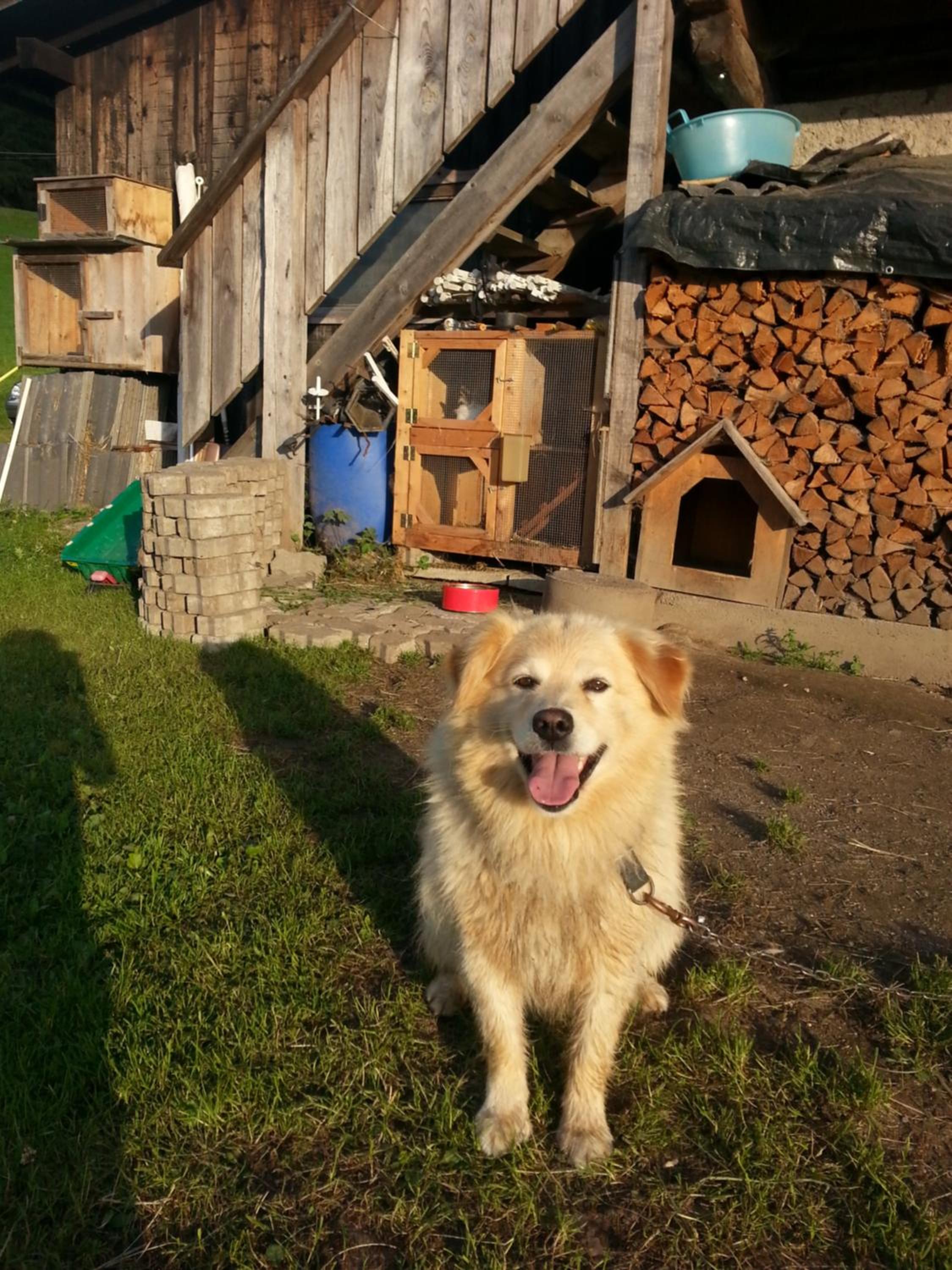 Photo 42
