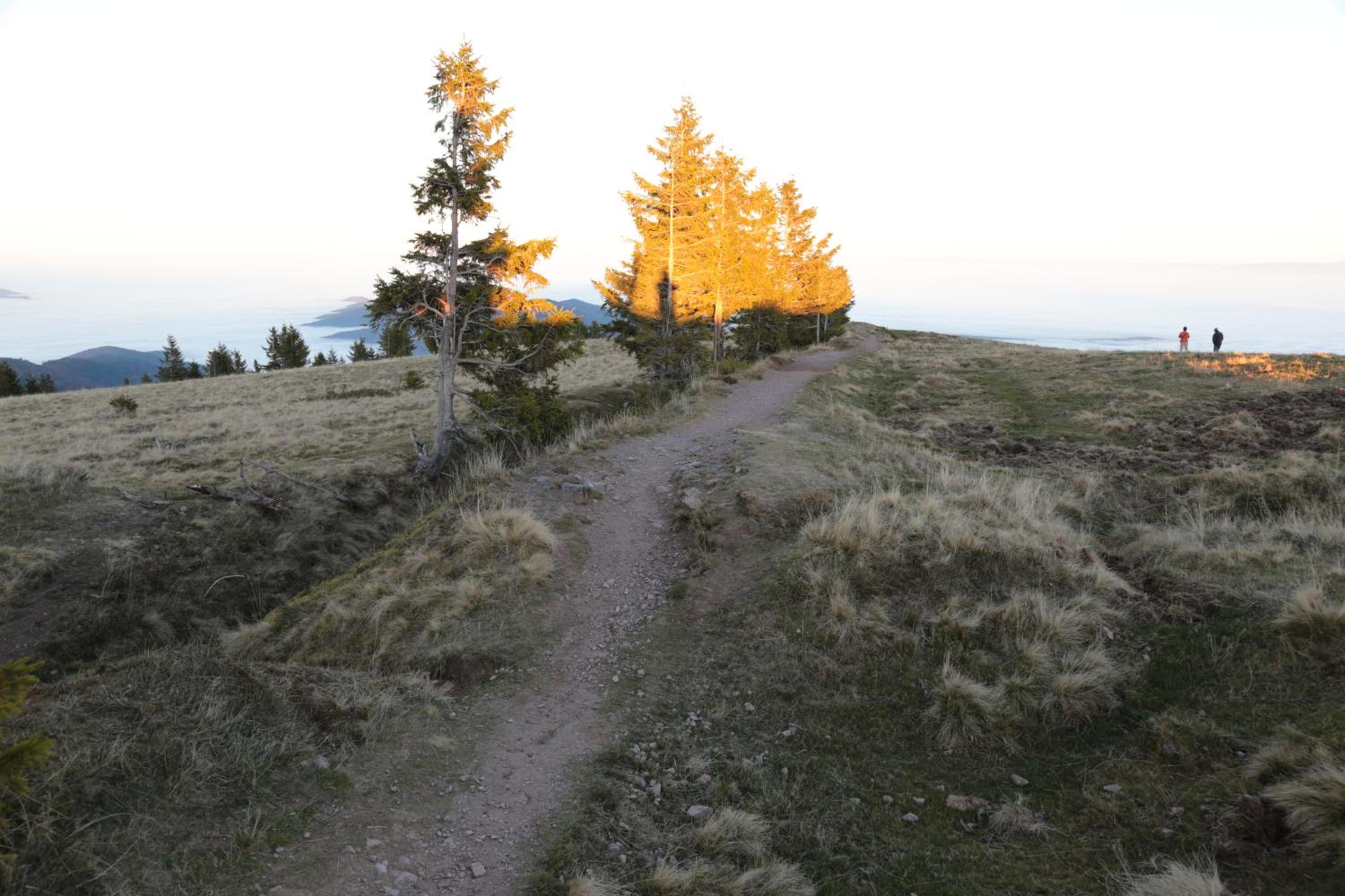 Photo 42