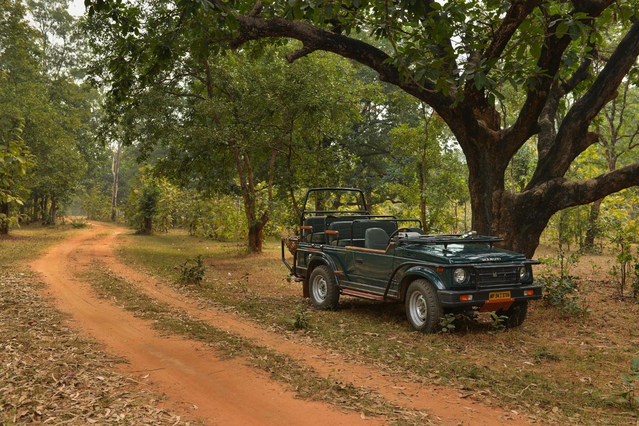 Syna Tiger Resort Bandhavgarh