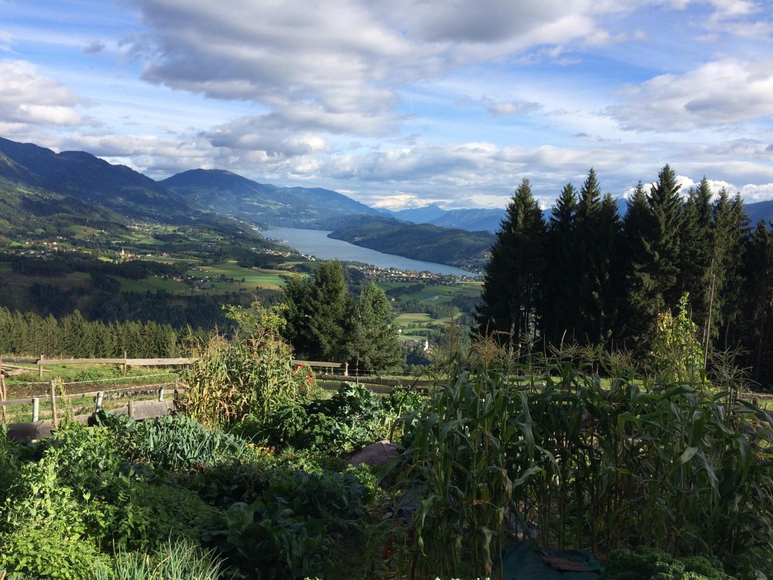 Gasthof Pension Perauer