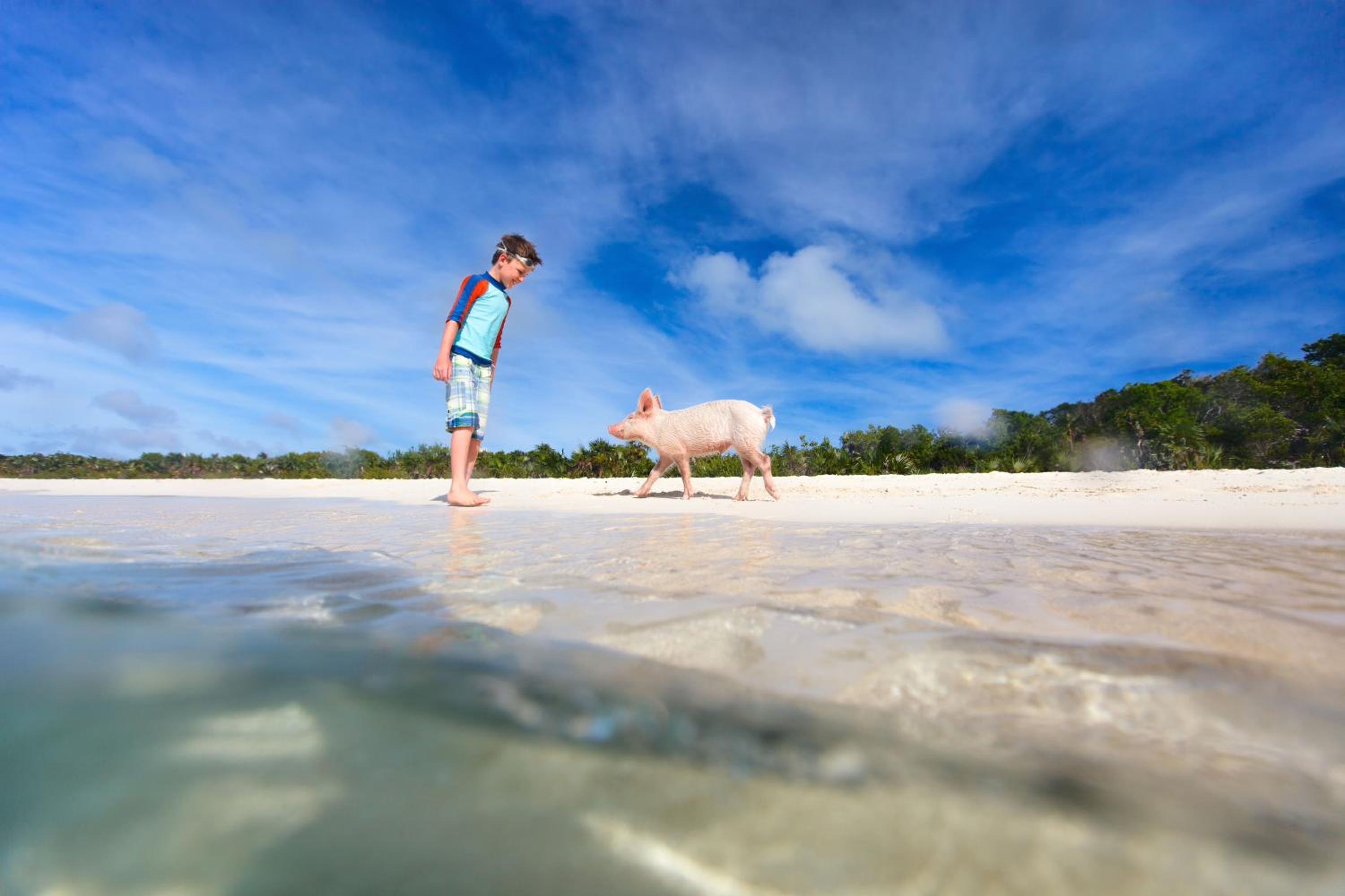 Hideaways Exuma - Photo 267