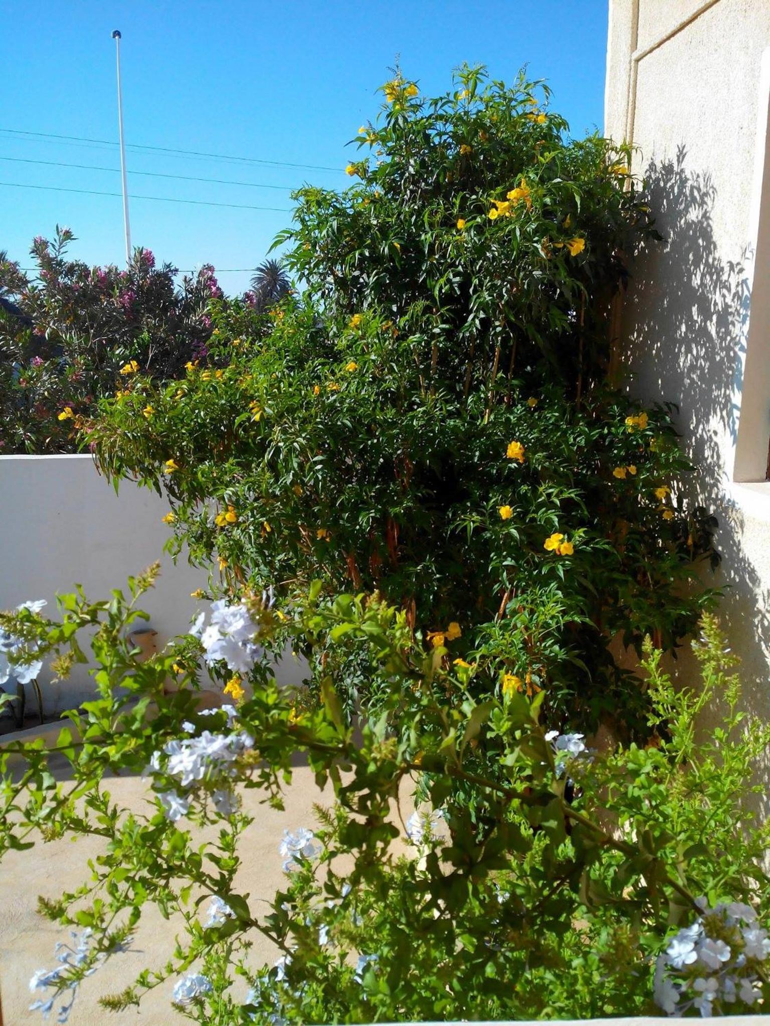 Photo 40