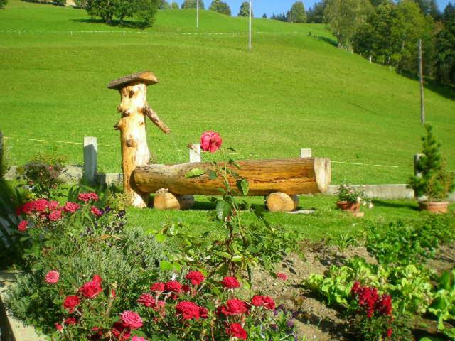 Photo 43
