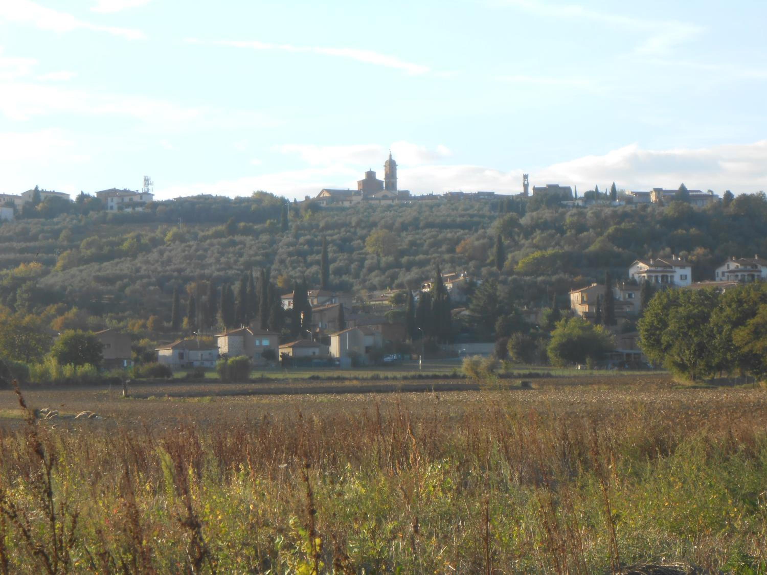Photo 47