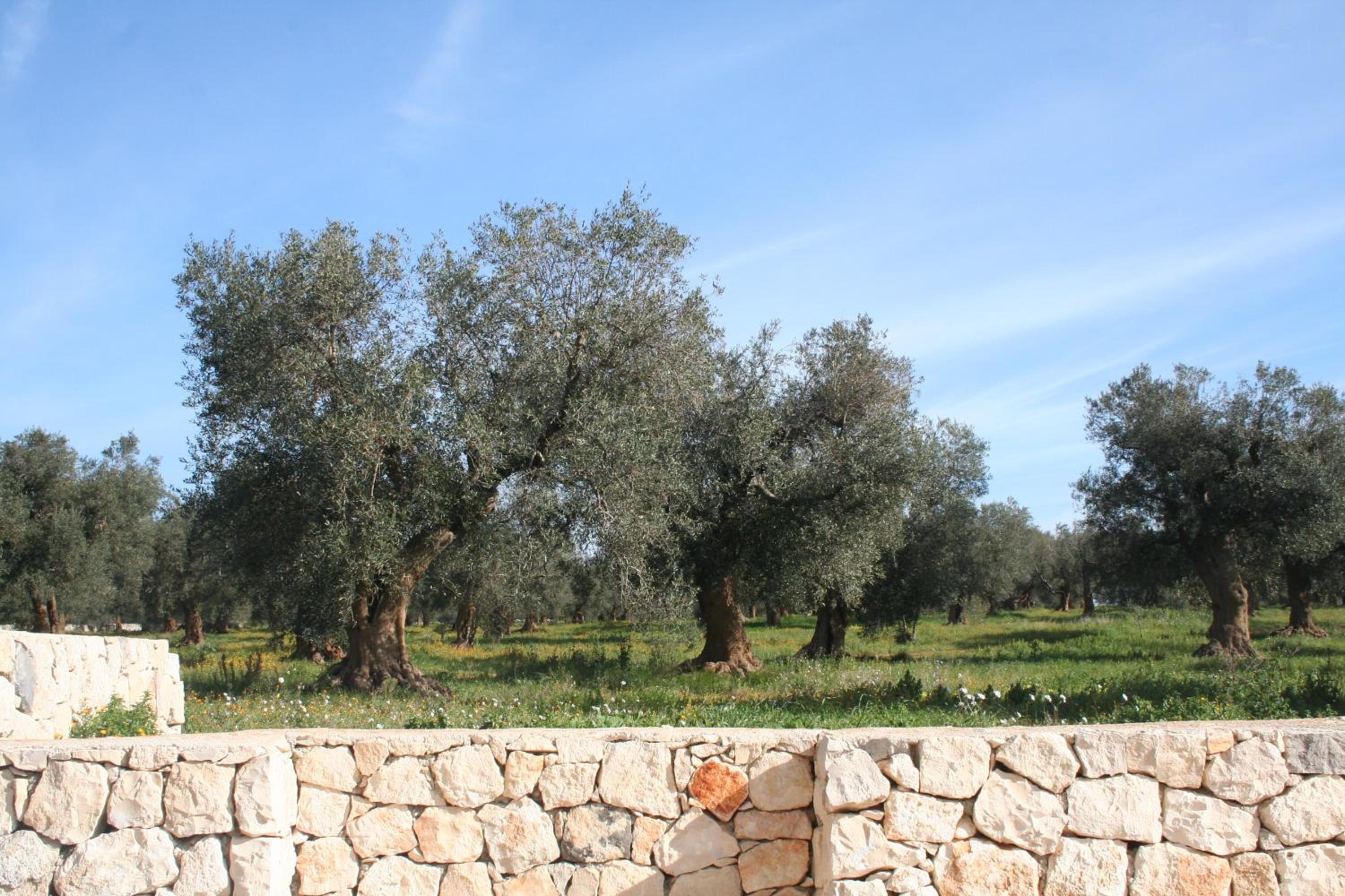 Agriturismo Spirdo