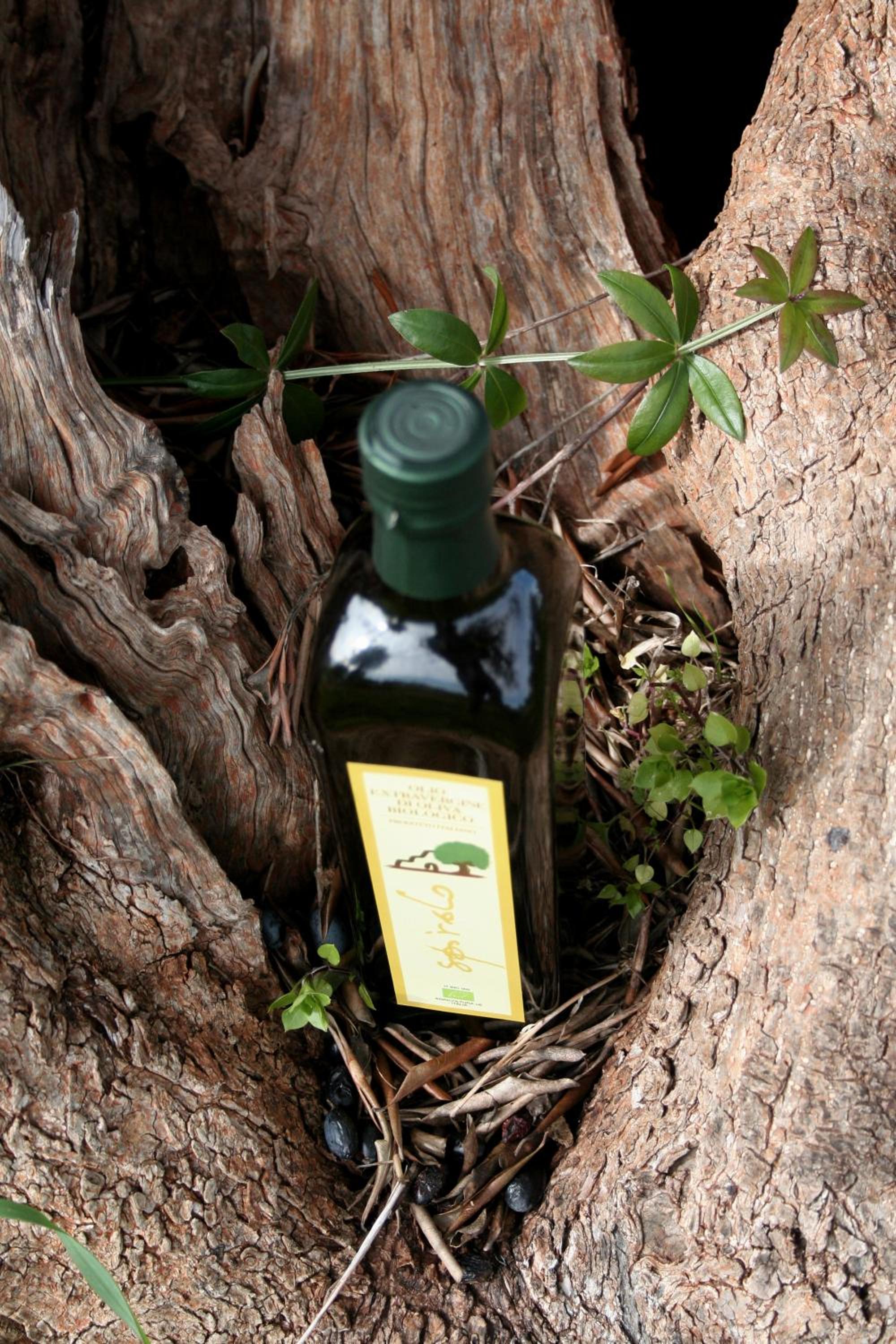 Agriturismo Spirdo