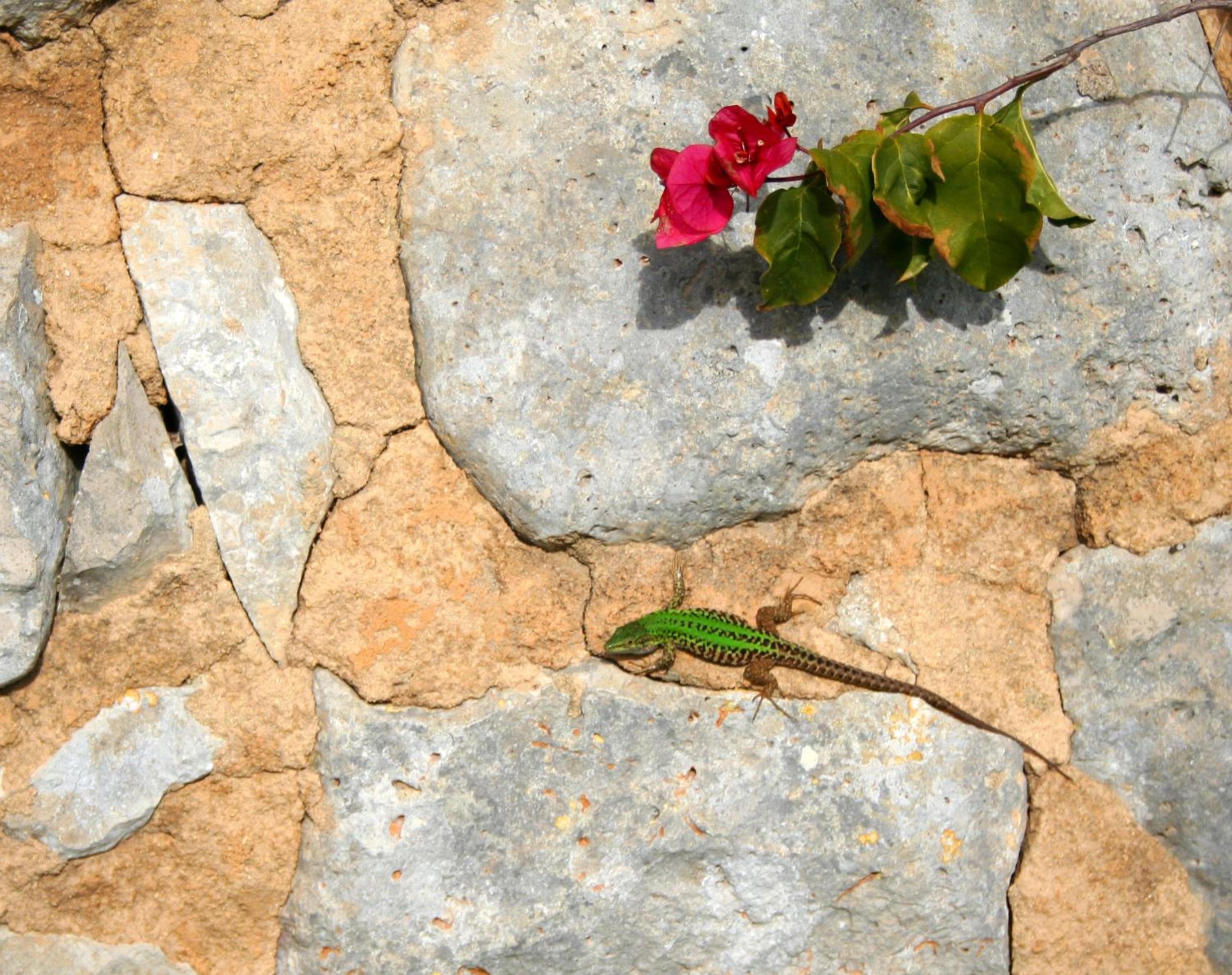 Agriturismo Spirdo