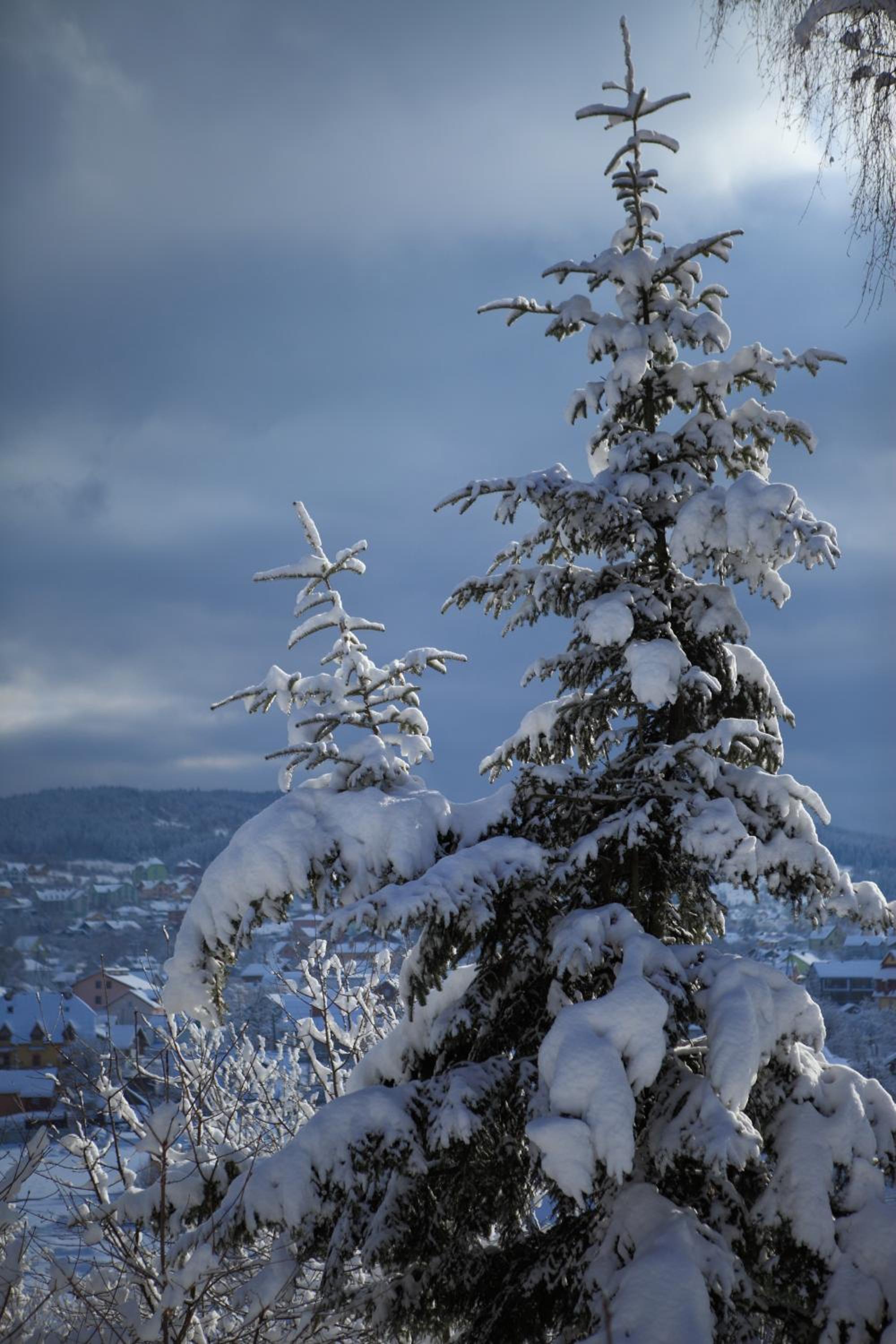 FAVAR Carpathians