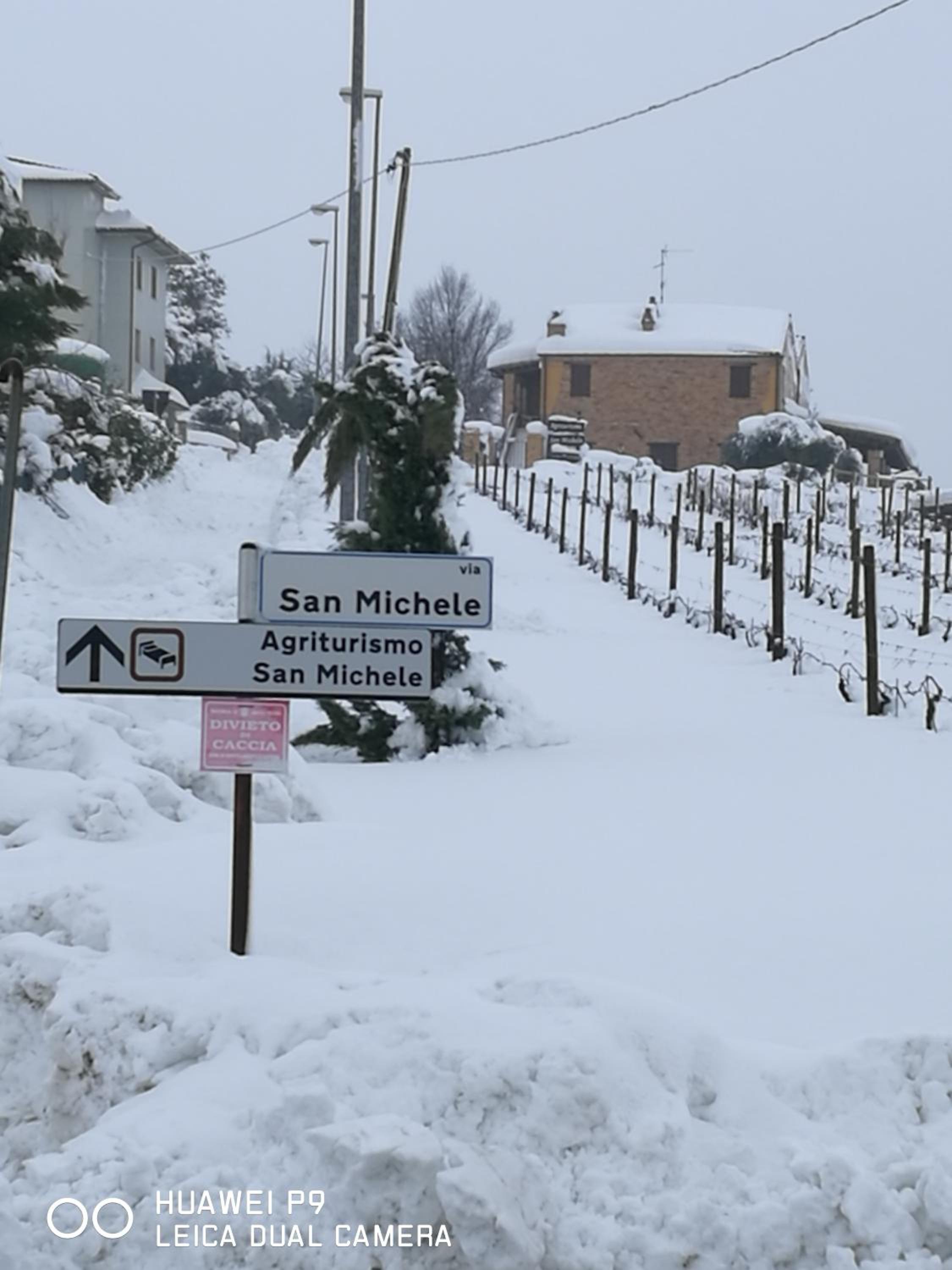Agriturismo San Michele