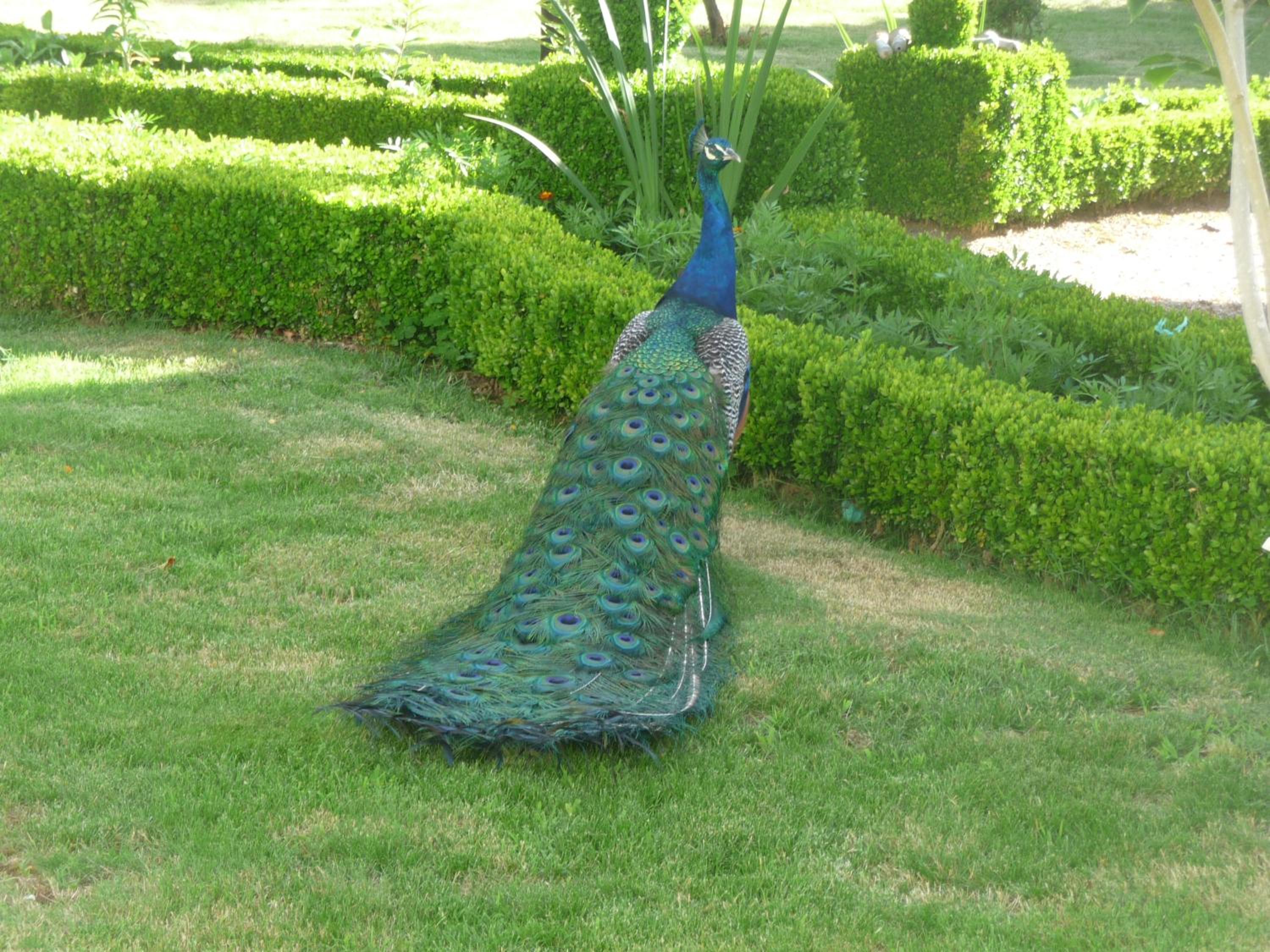 Photo 12