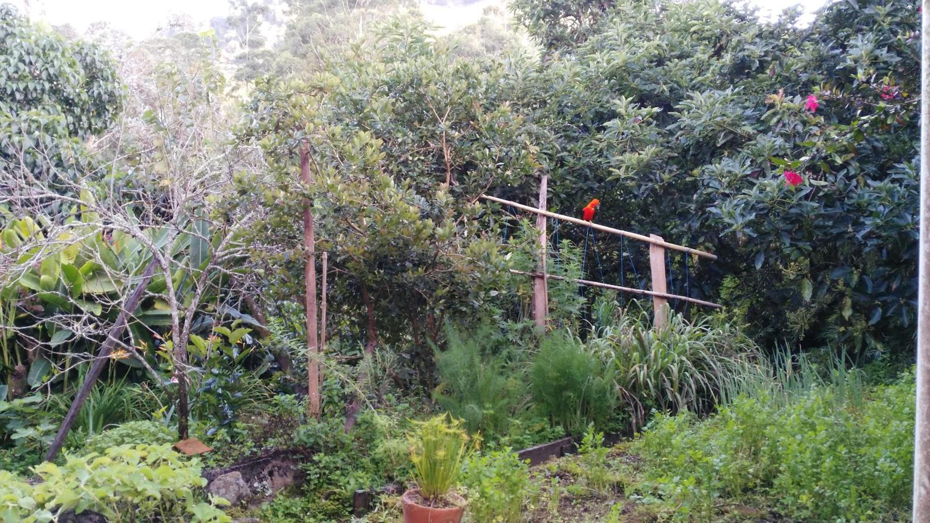Photo 44