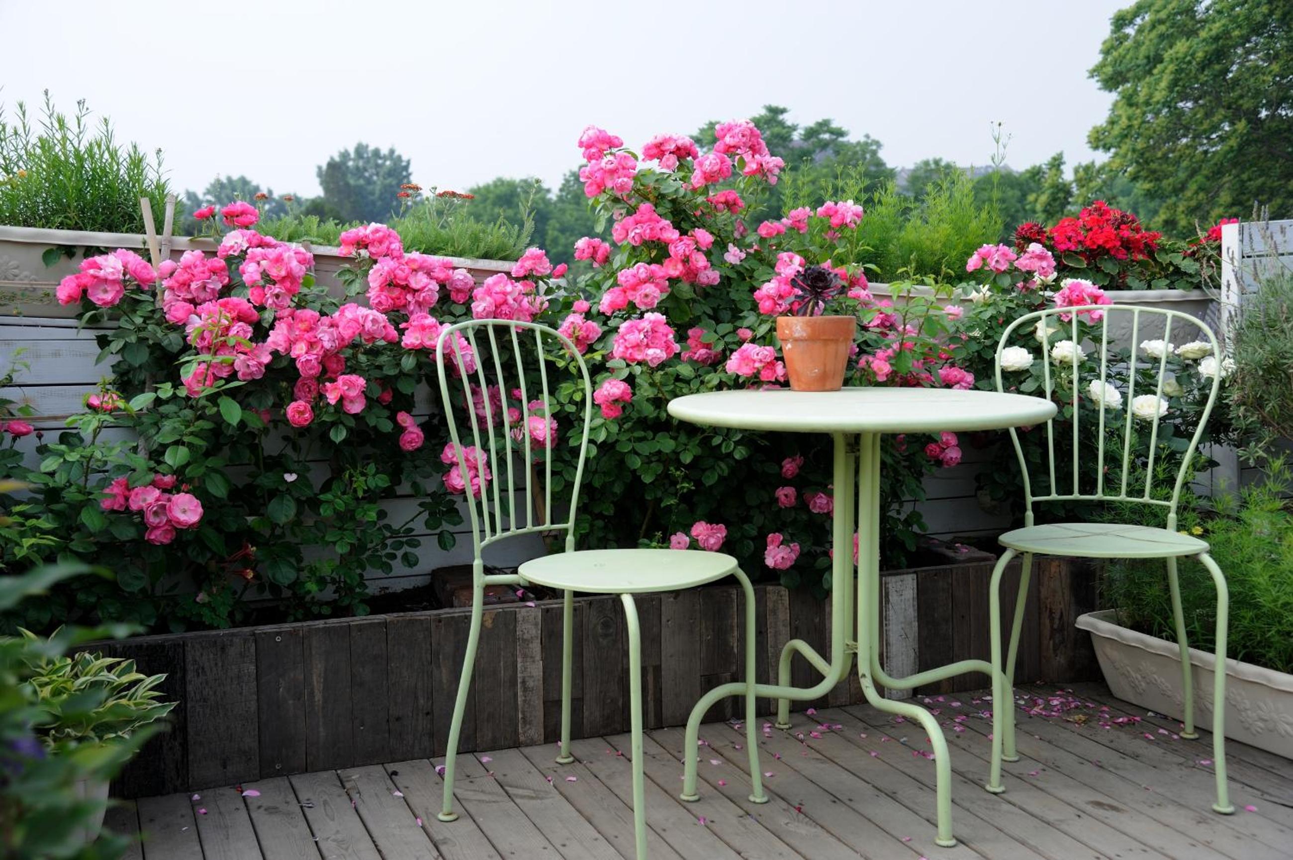 Peking Garden Youth Hostel-Houhai&Nanluoguxiang&Drum tower-Cafe&Bar&Movie night&Social area&Rooftop