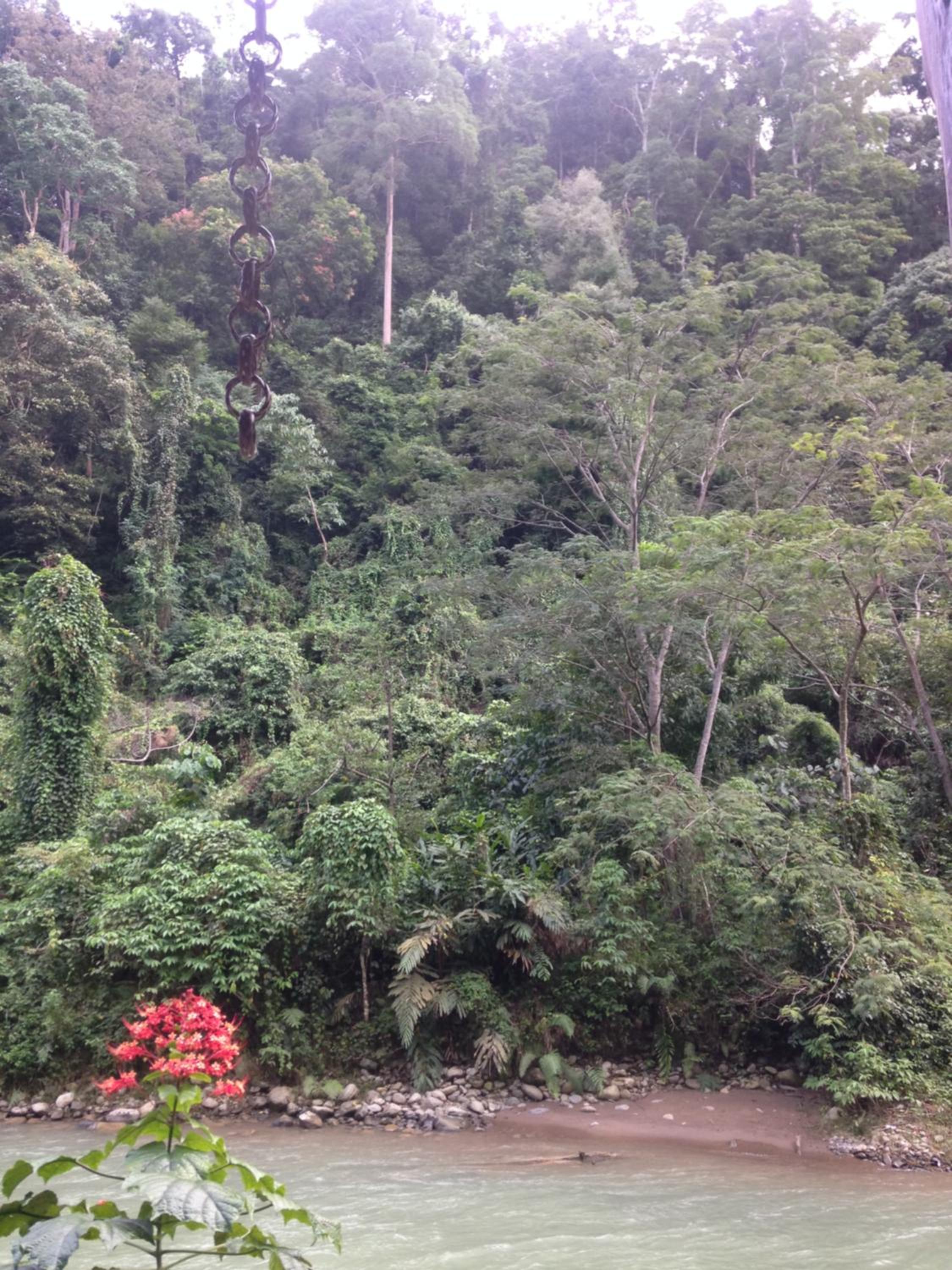 Photo 43