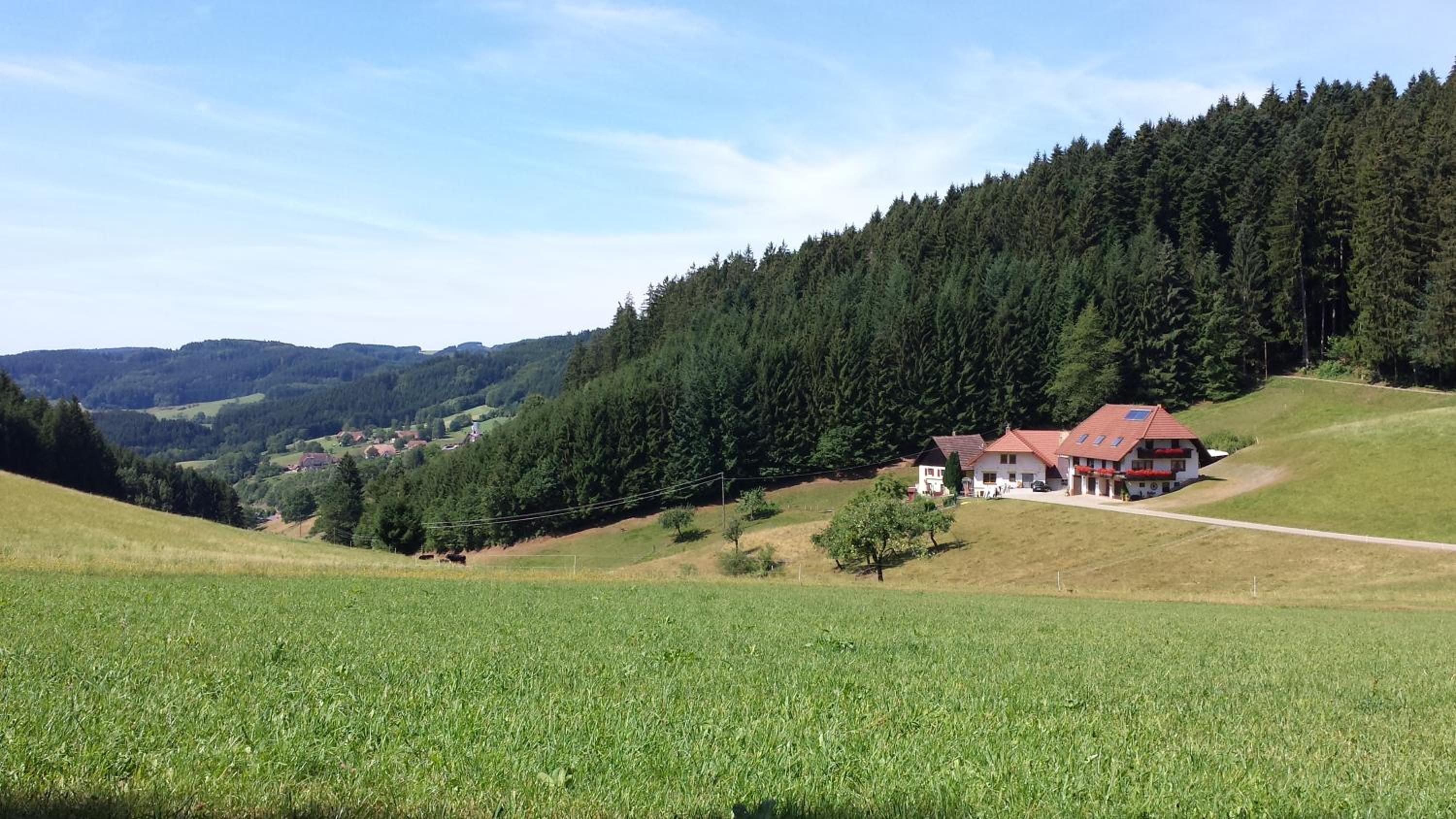 Ferienwohnung Ringwald